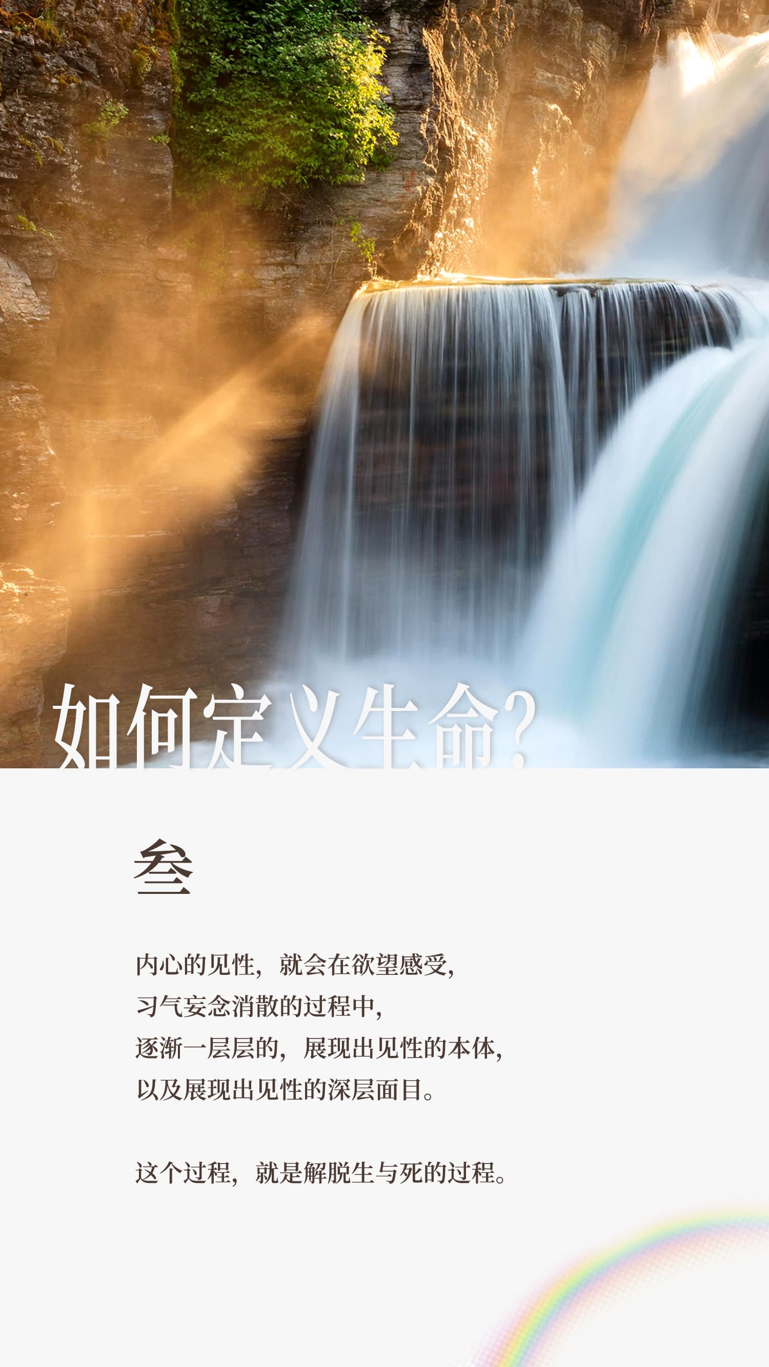 1231如何定义生命3.jpg