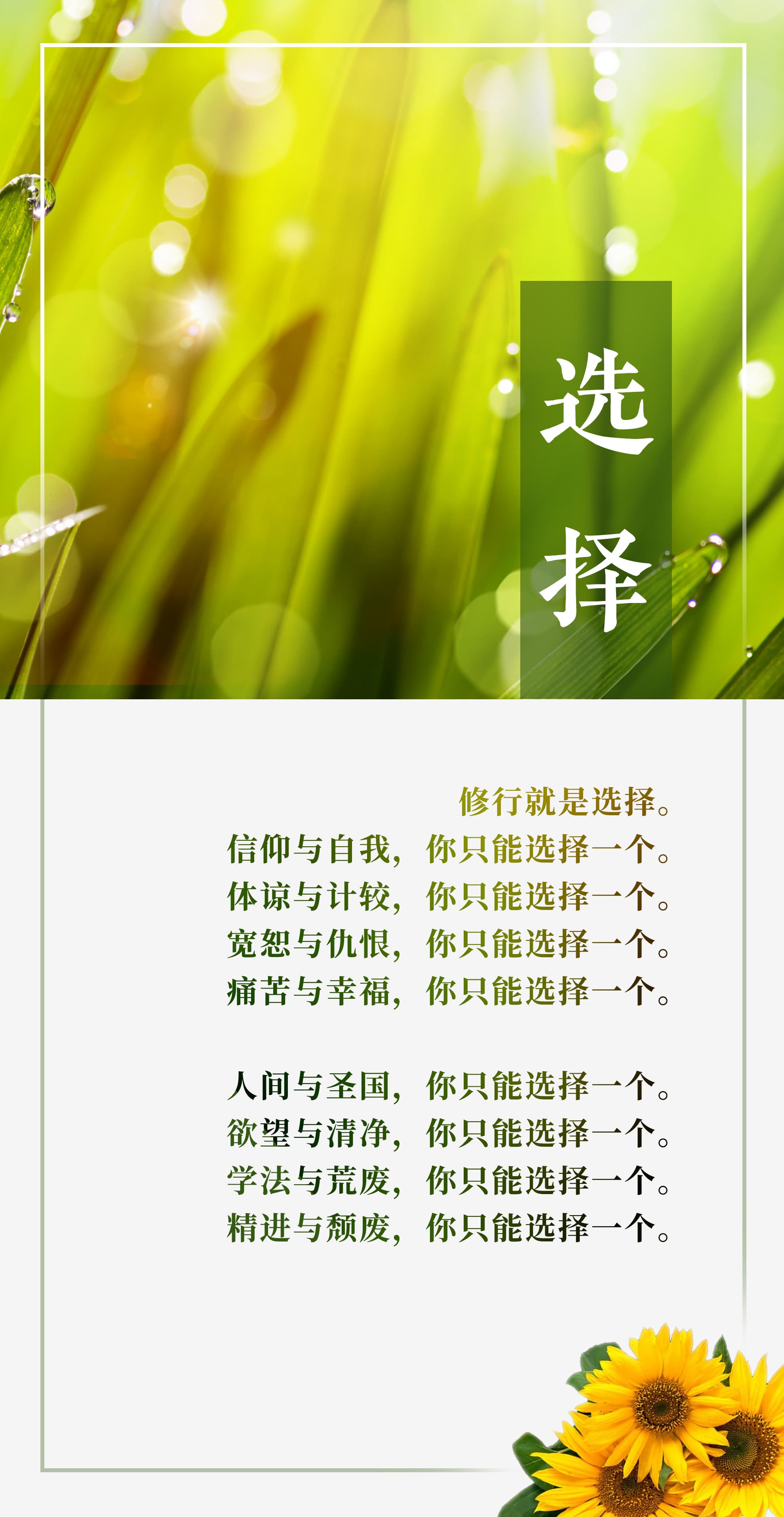0129选择1.jpg