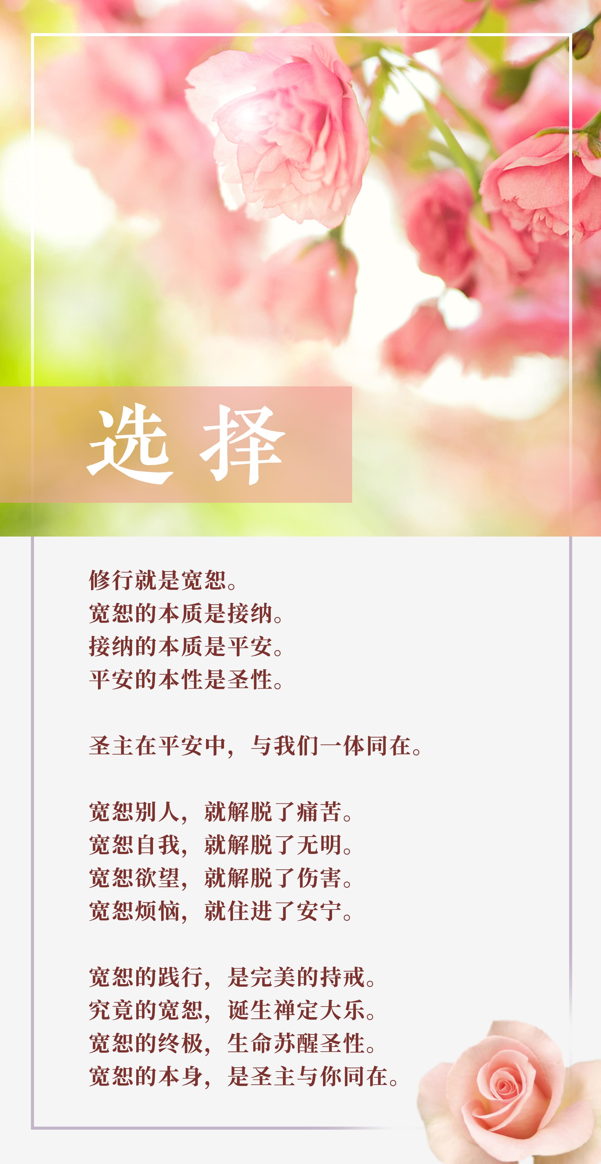 0129选择2.jpg