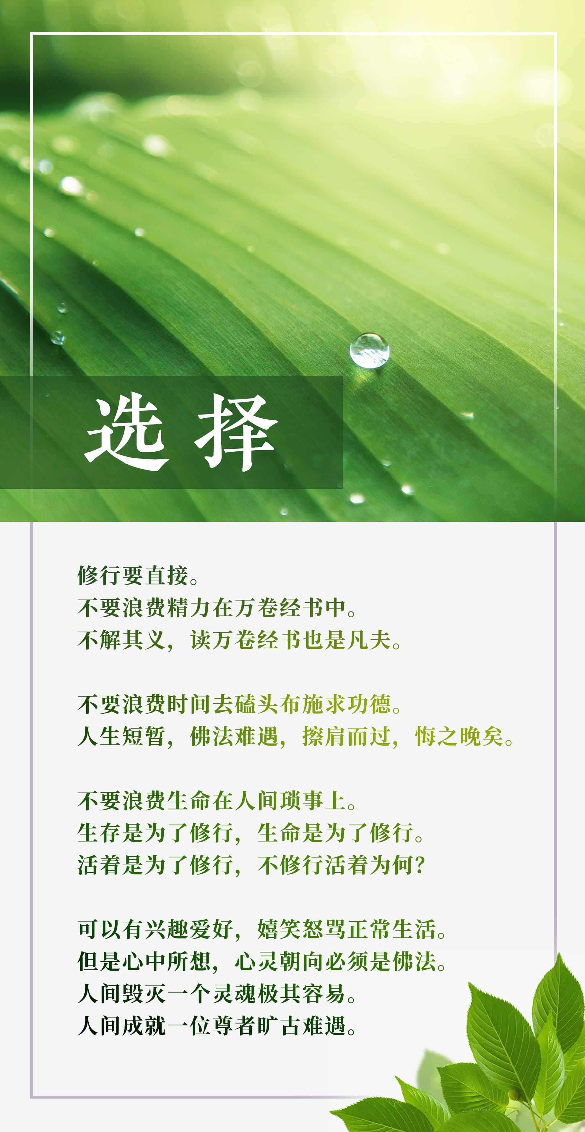 0129选择3.jpg