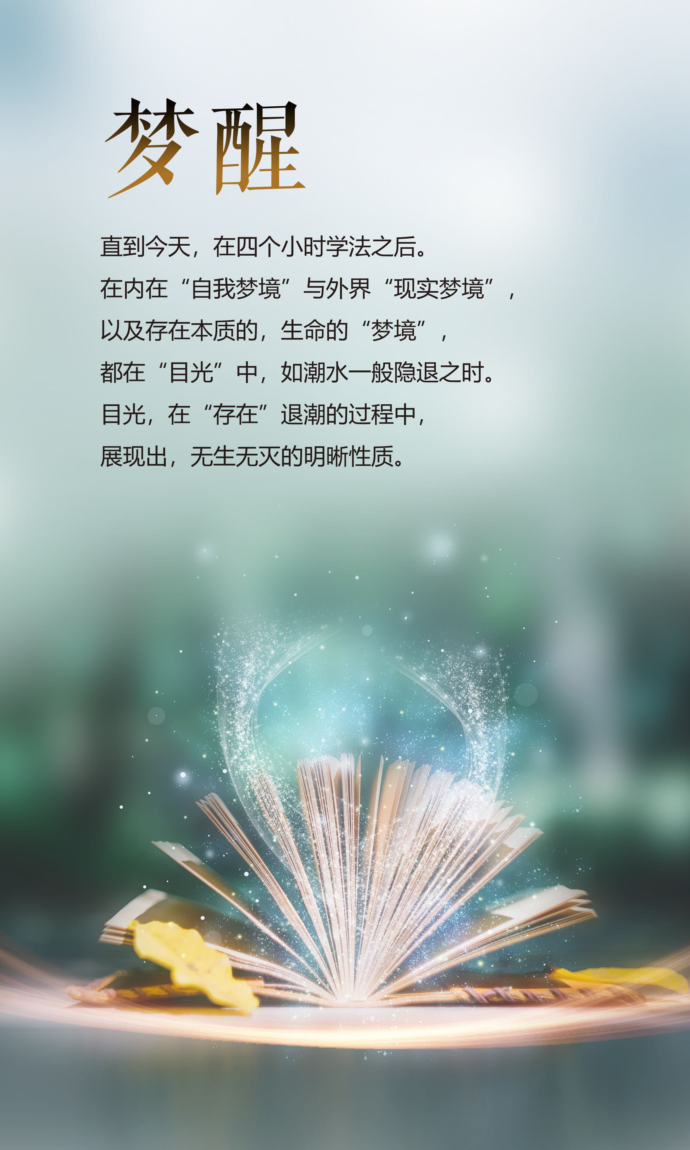 0217梦醒2.jpg