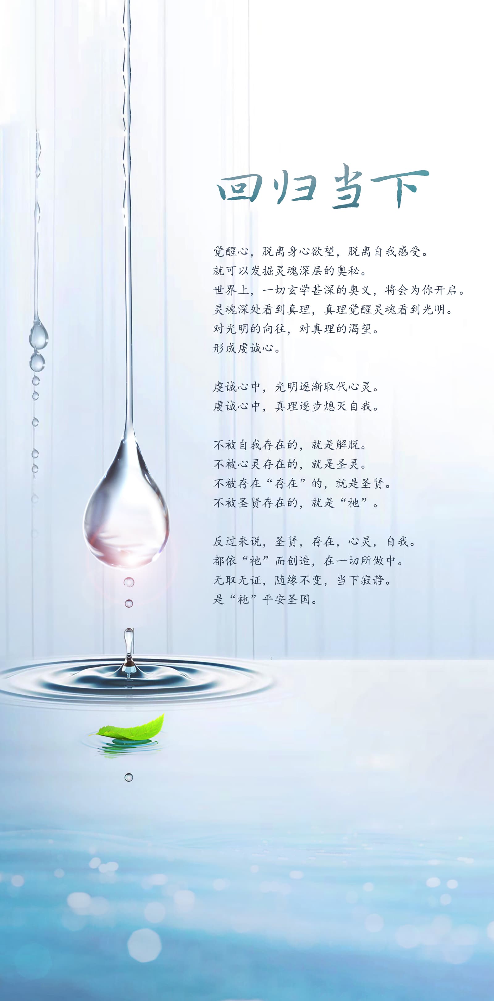 0219回归当下.jpg