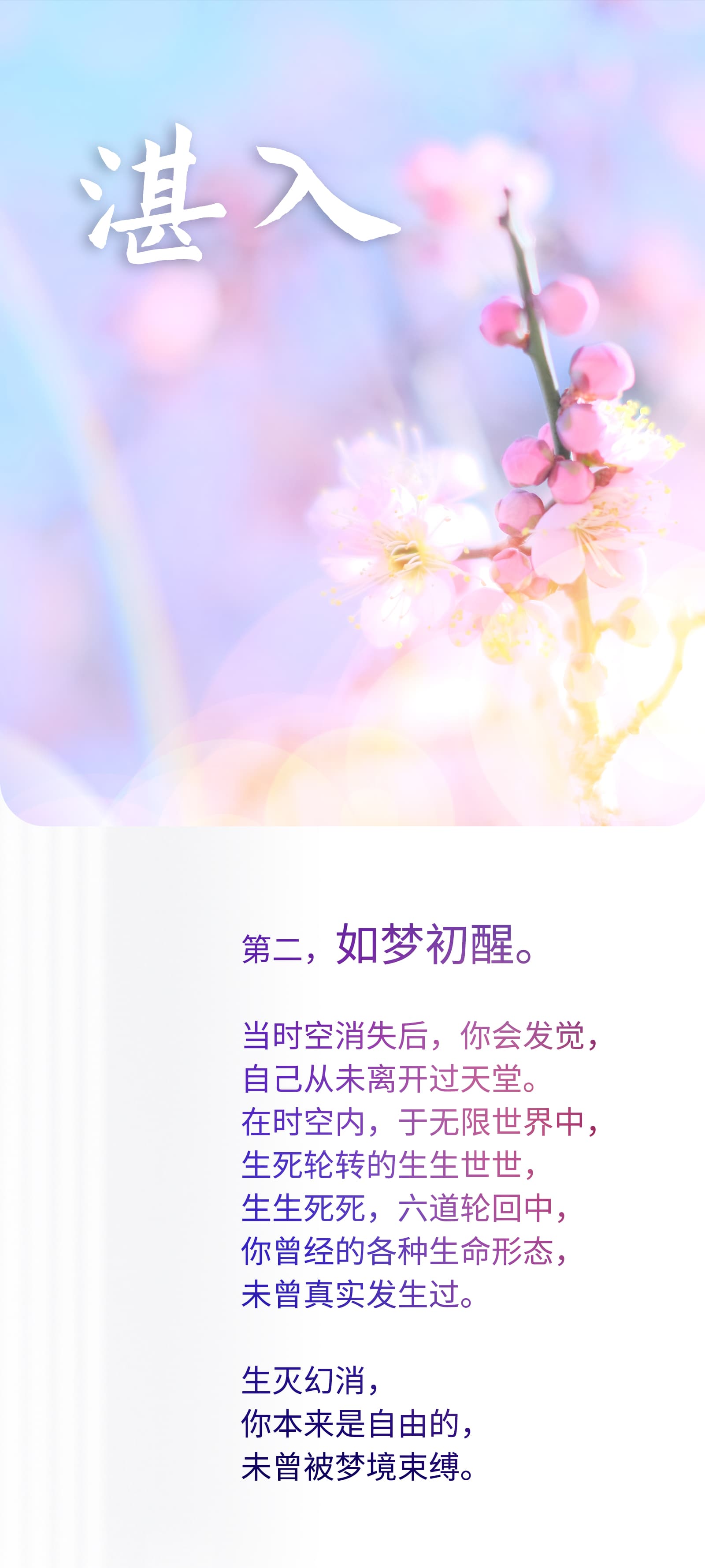 0426湛入2.jpg