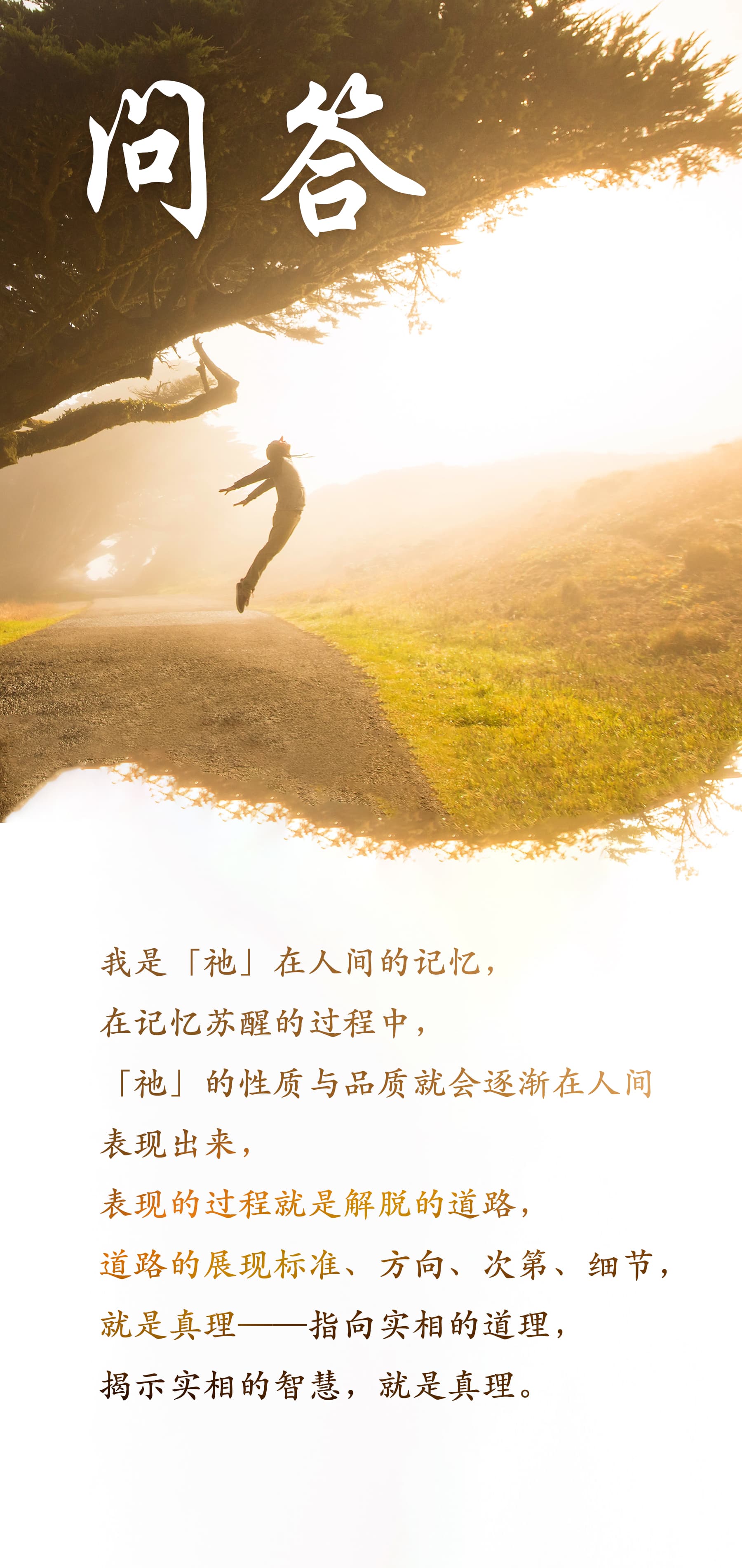 0610问答.jpg