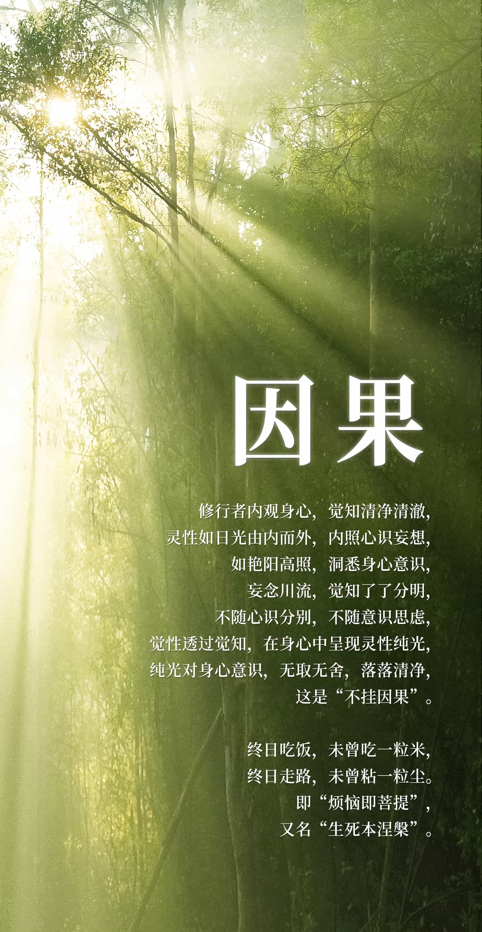 0616因果2.jpg