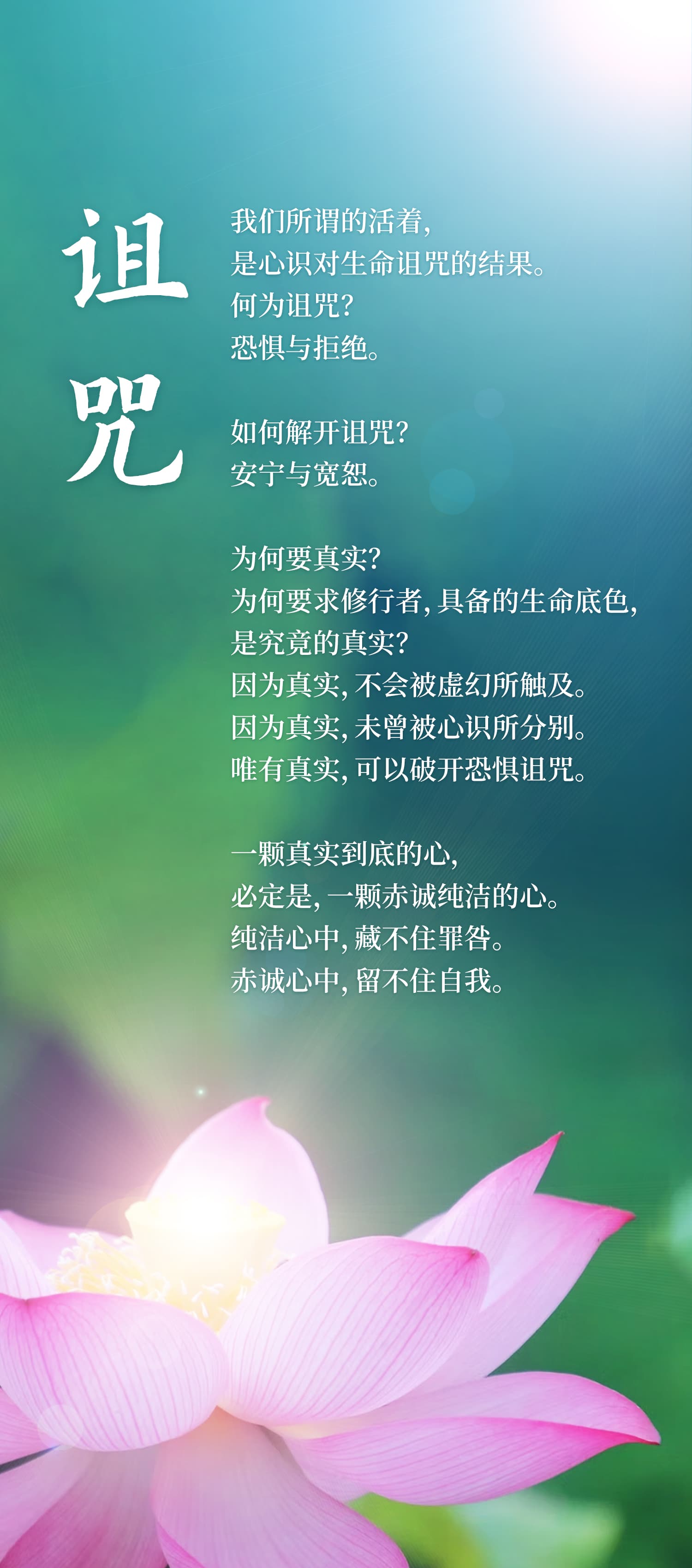 0712诅咒1.jpg