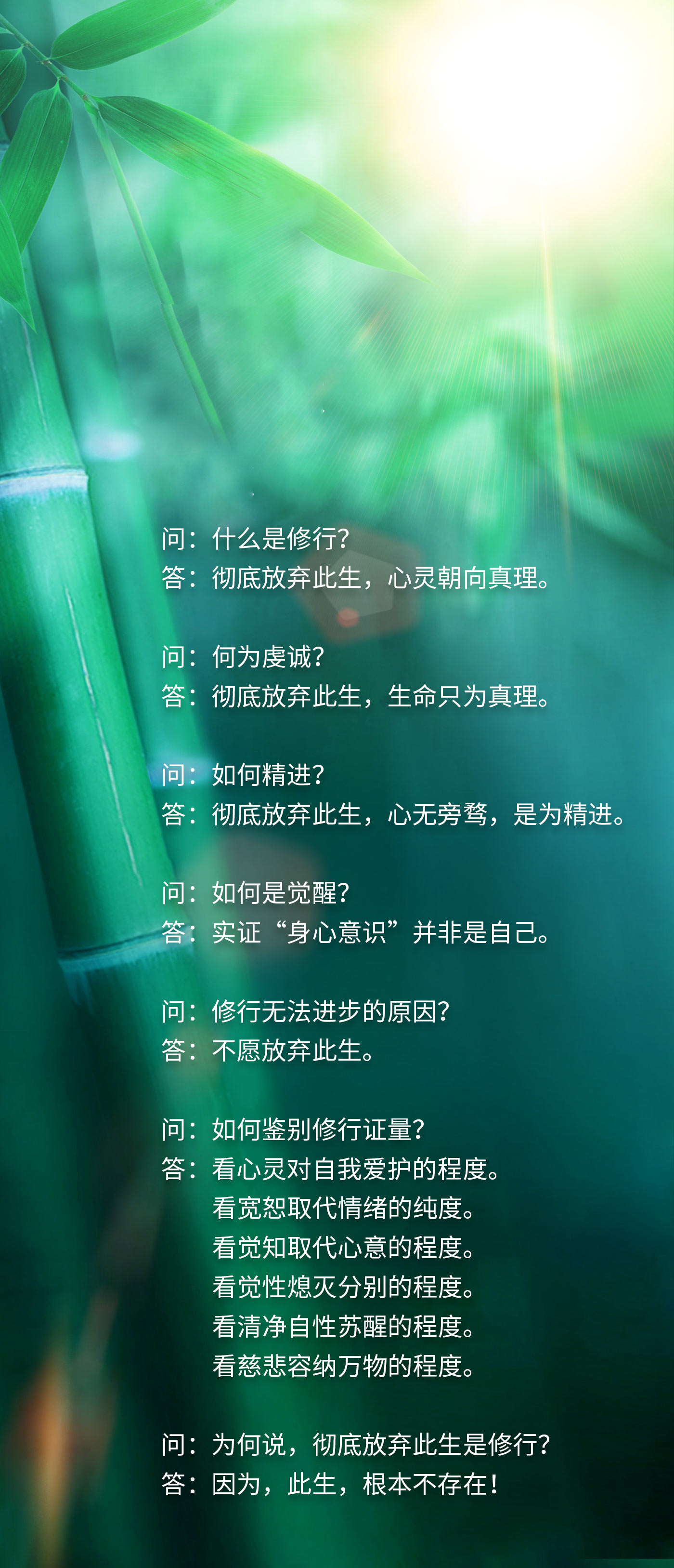 0726问答.jpg
