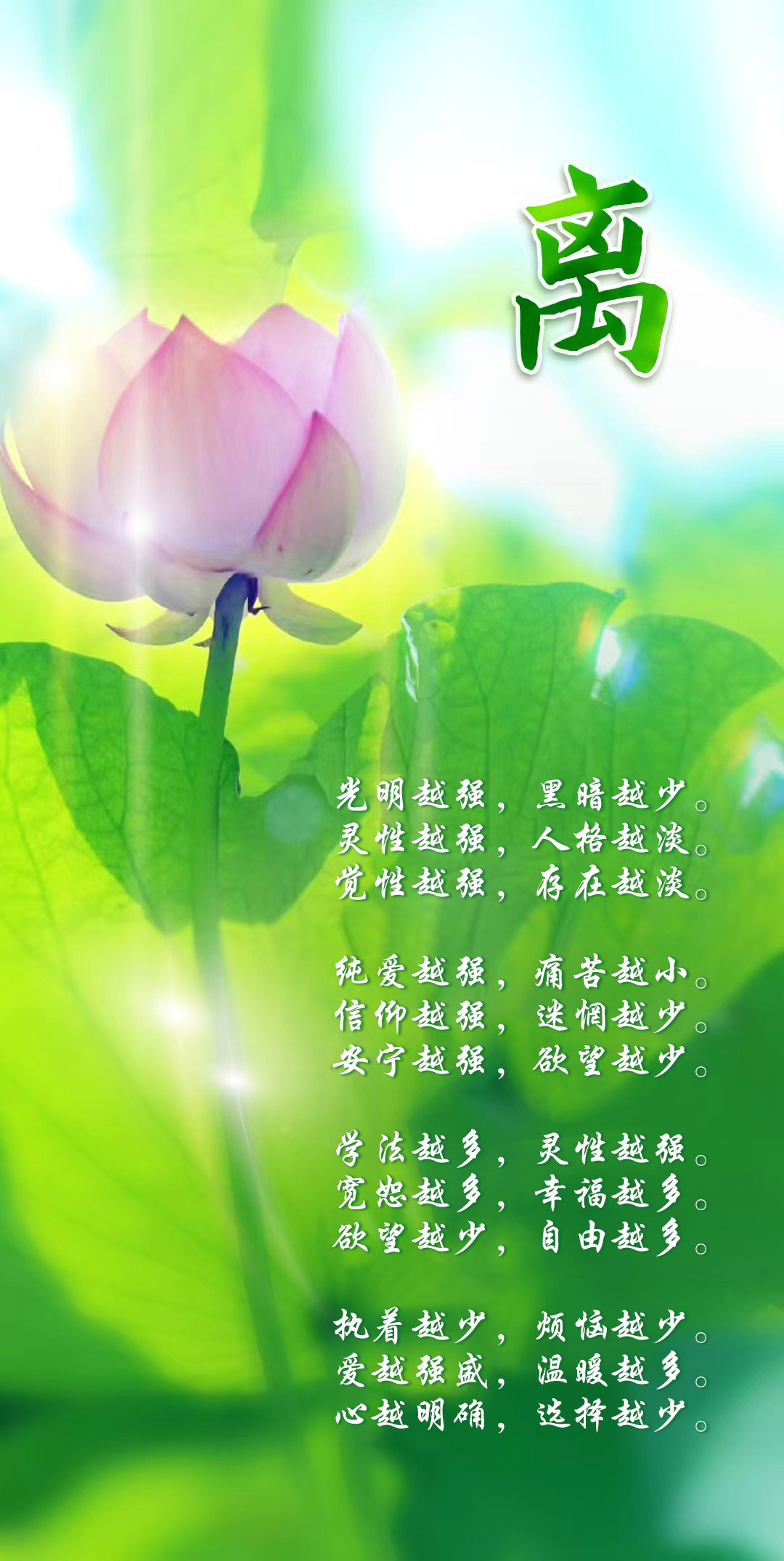 1105离.jpg