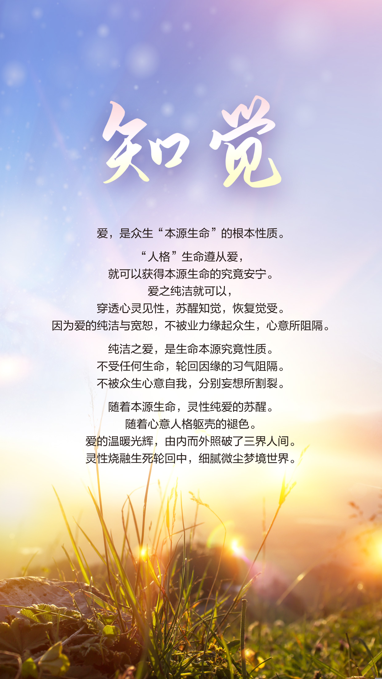 1214知觉.jpg