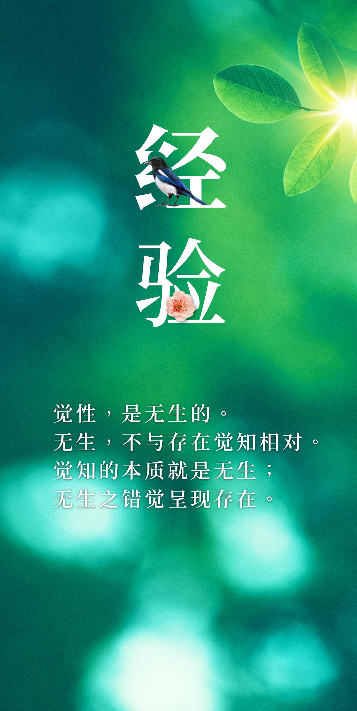0112经验2.jpg