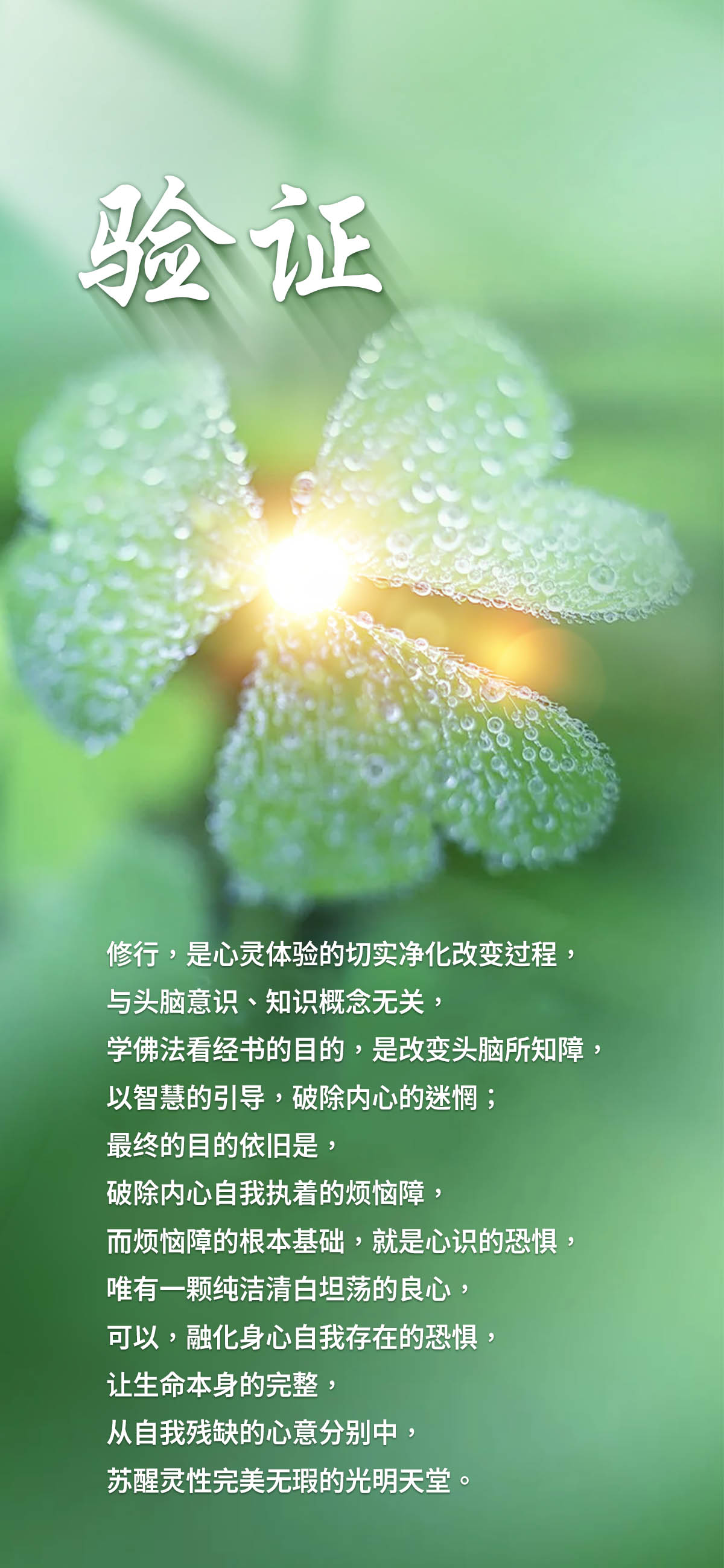 0122验证2.jpg