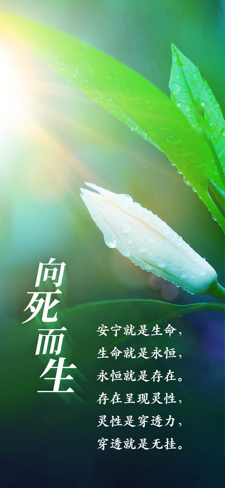 0207向死而生2.jpg