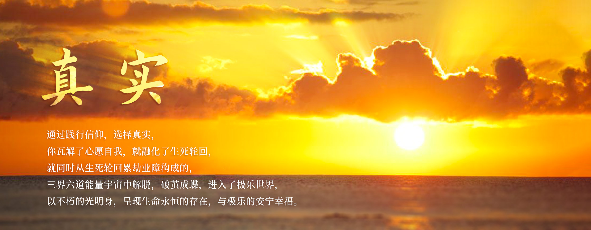 0215真实.jpg