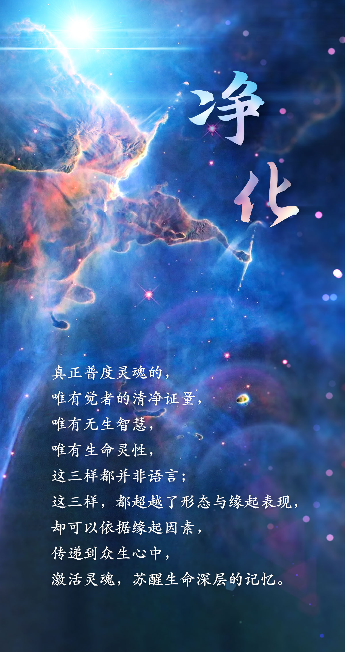 0221净化.jpg