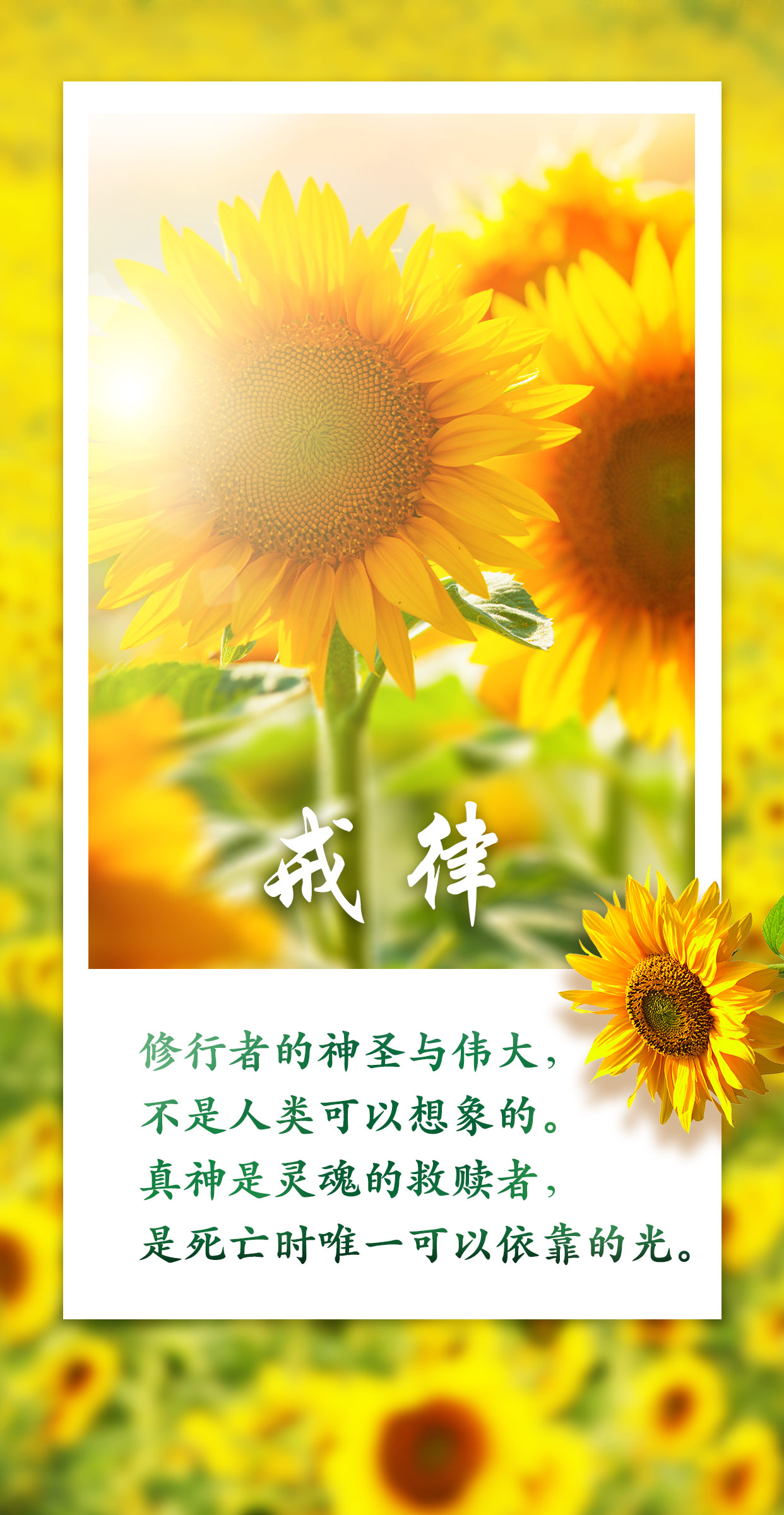 0228戒律2.jpg