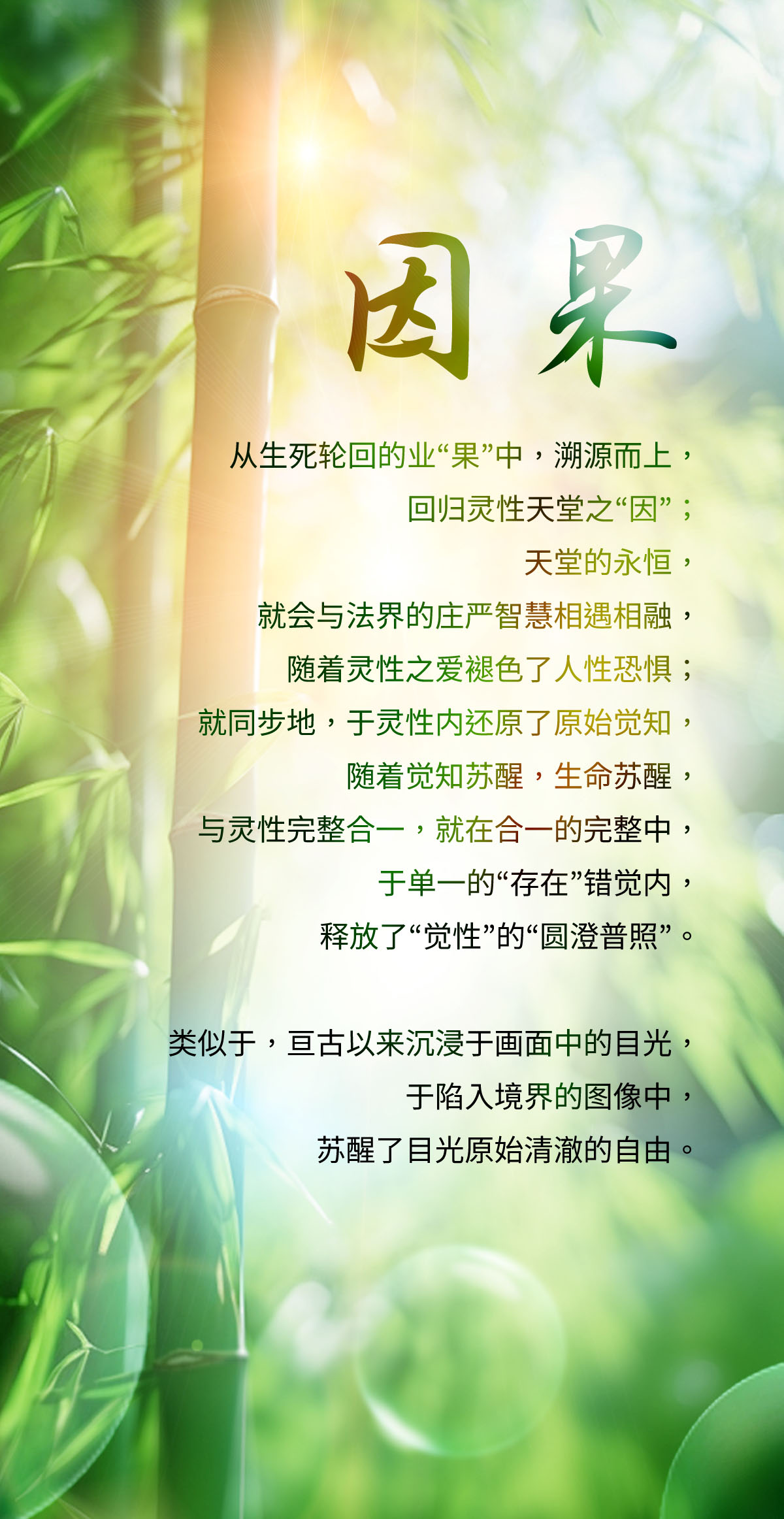 0301因果2.jpg