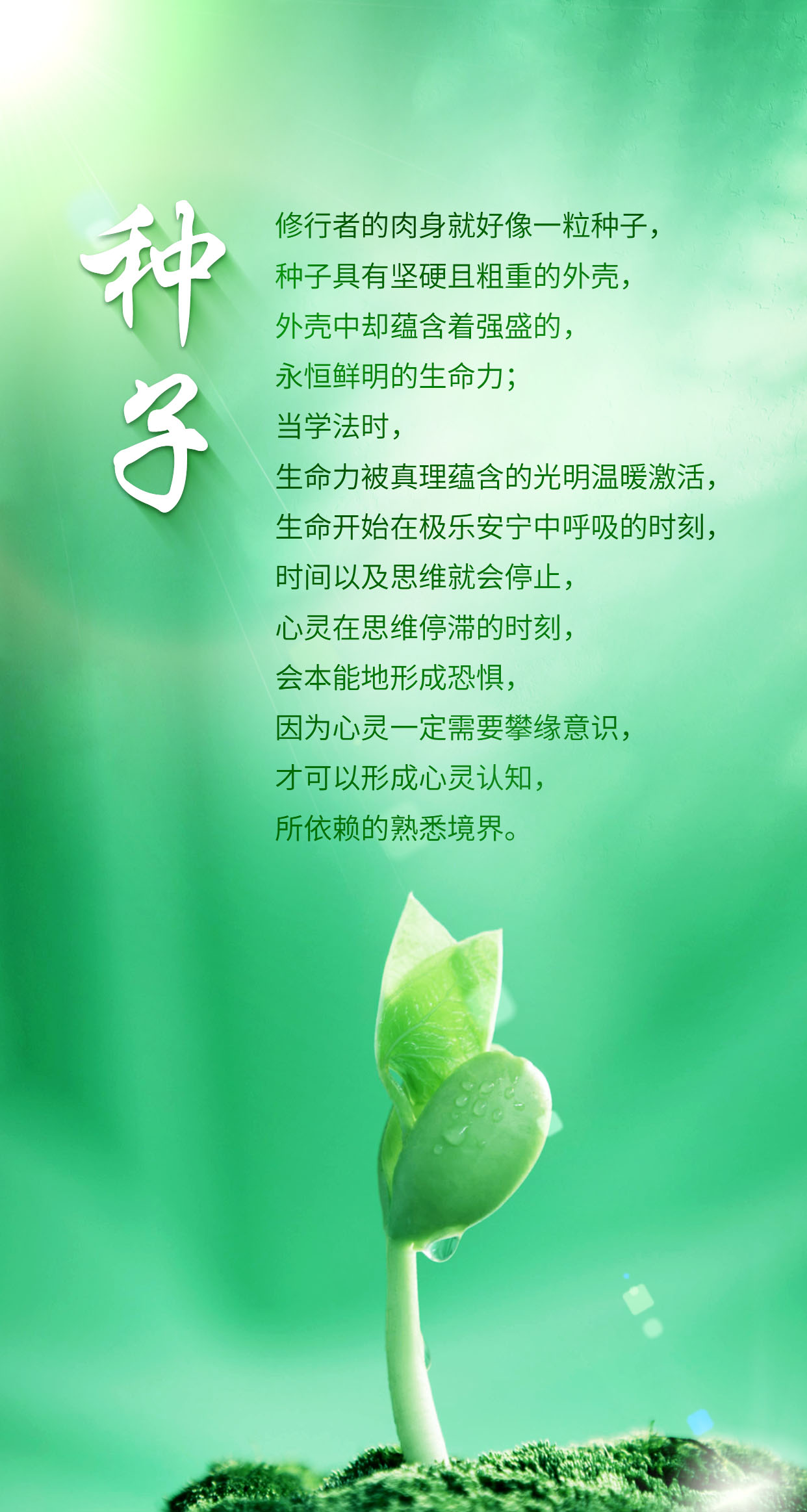 0407种子2.jpg