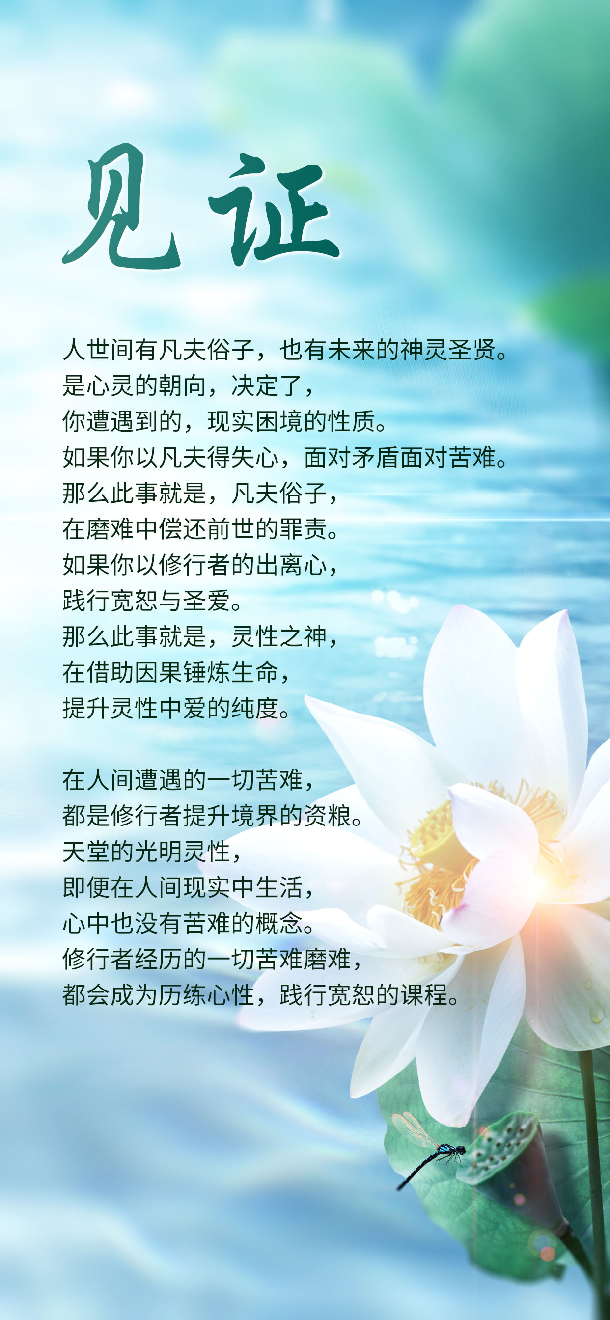 0421见证2.jpg