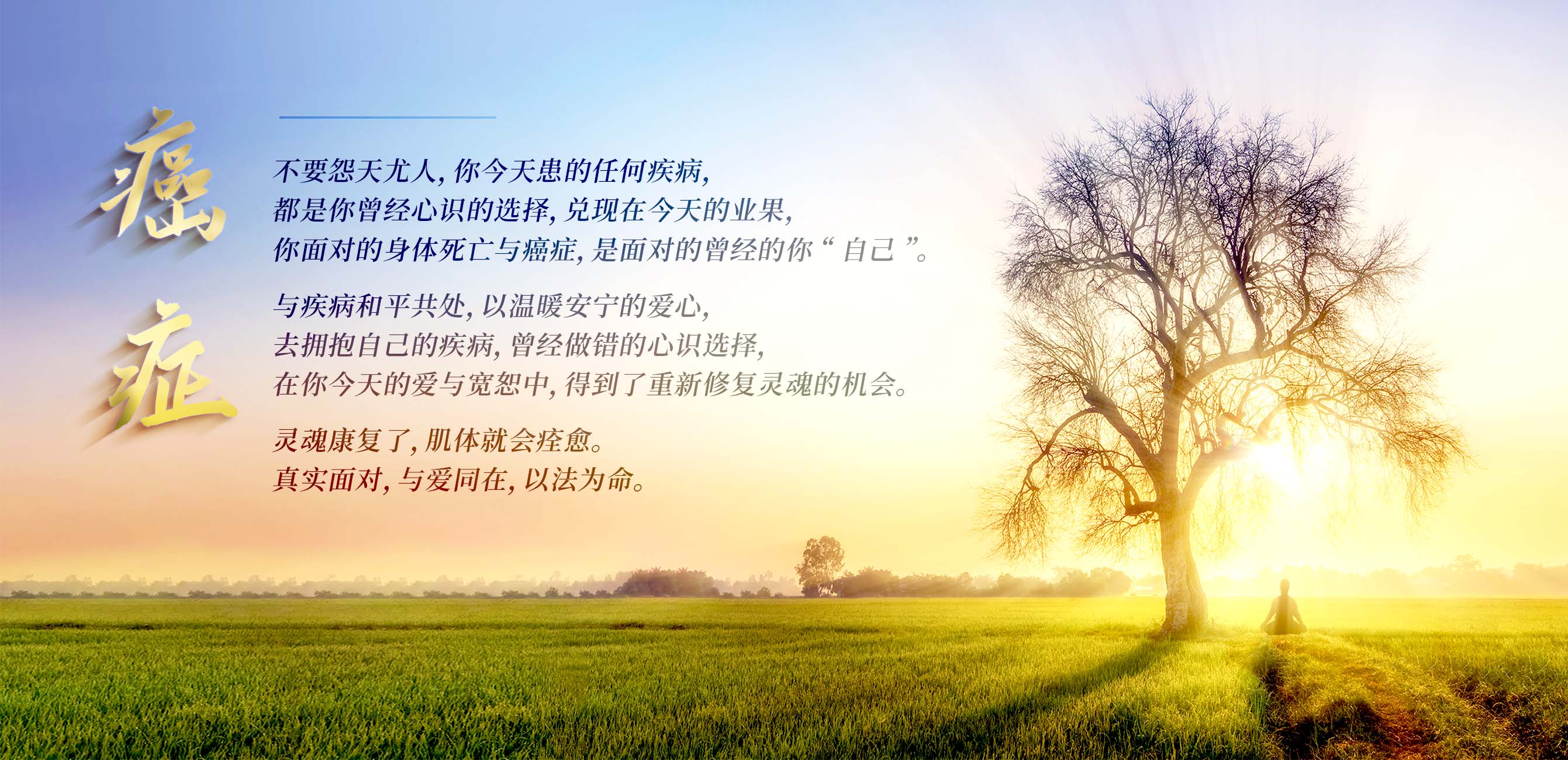 0425癌症.jpg