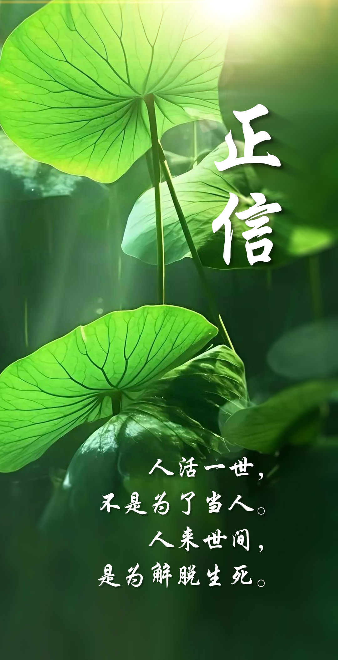 0731正信1.jpg
