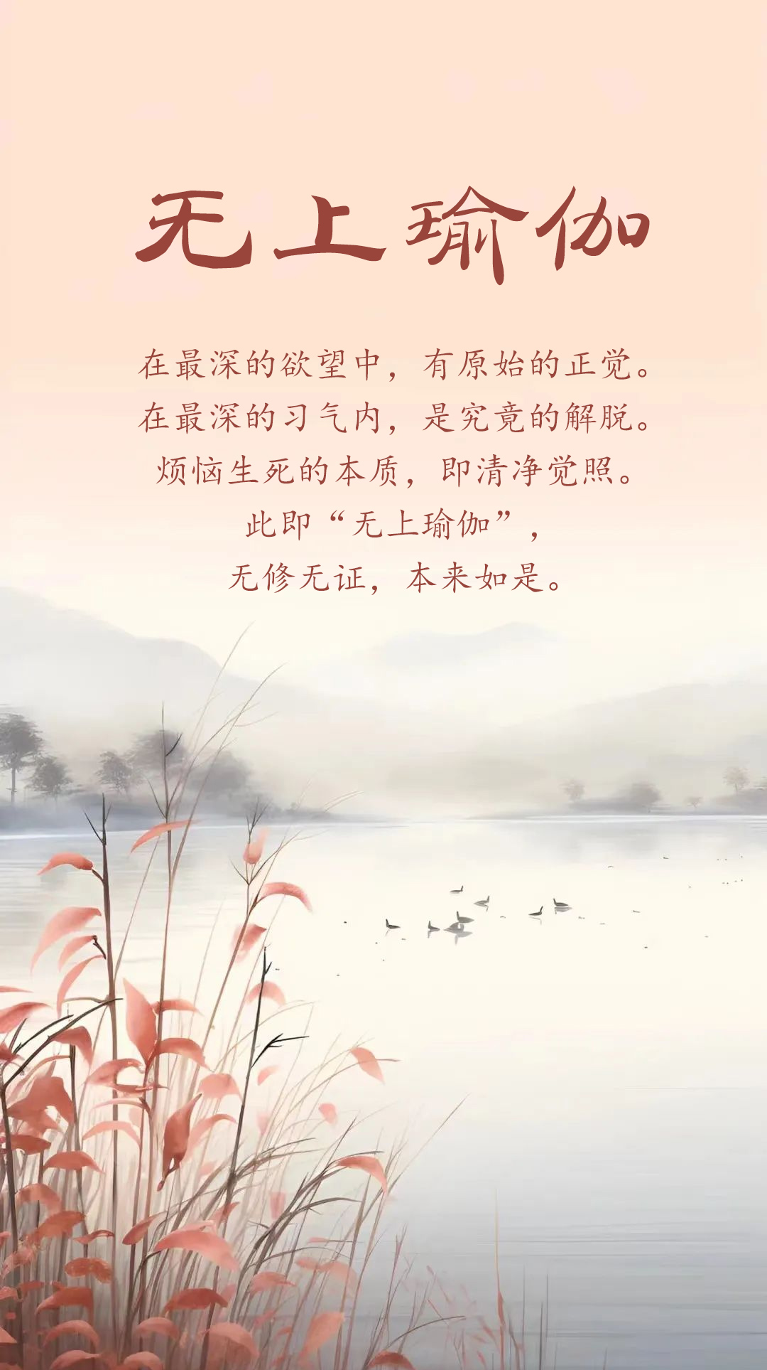 0801无上瑜伽.jpg