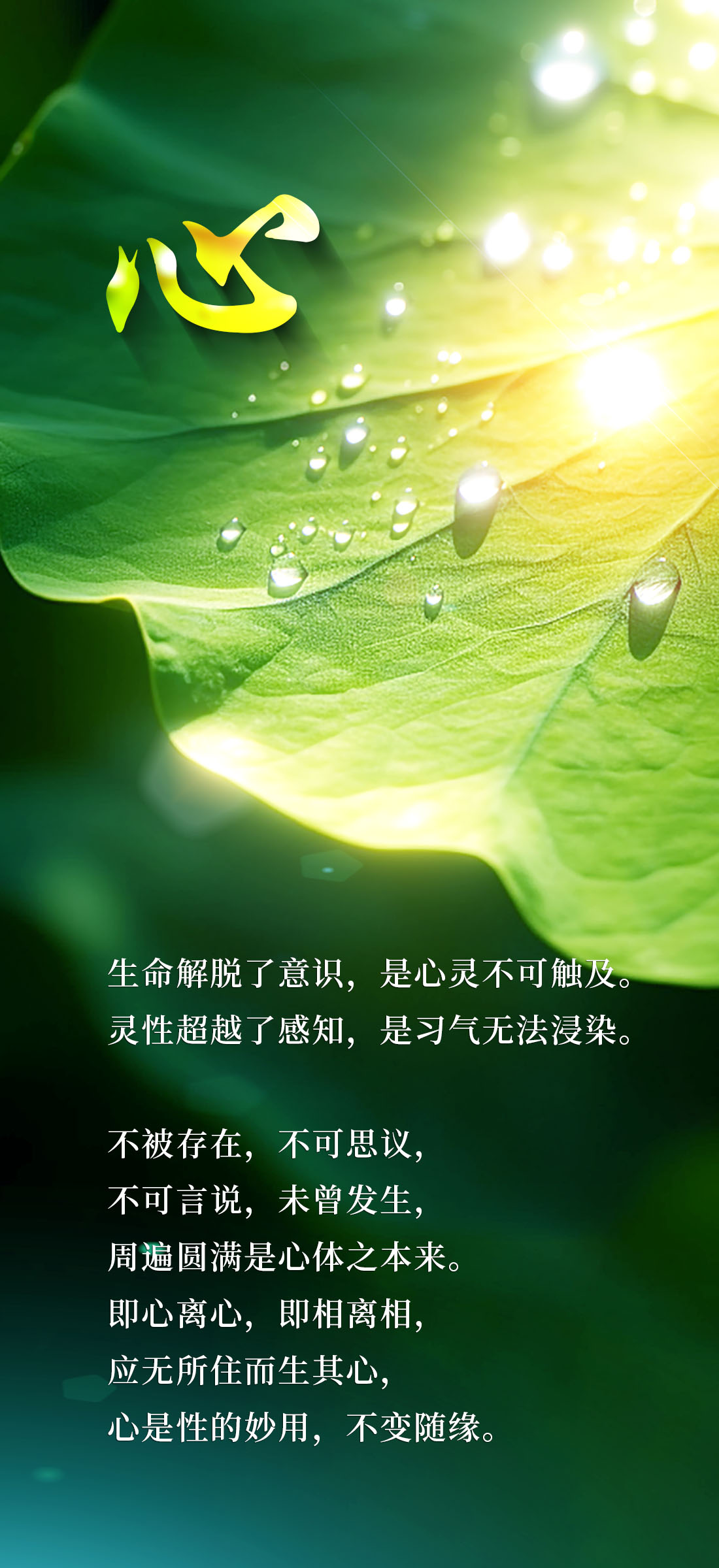 1020心.jpg