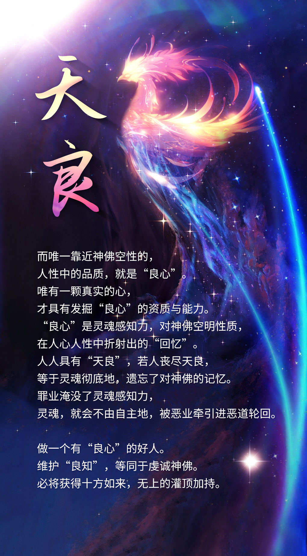 0215天良.jpg