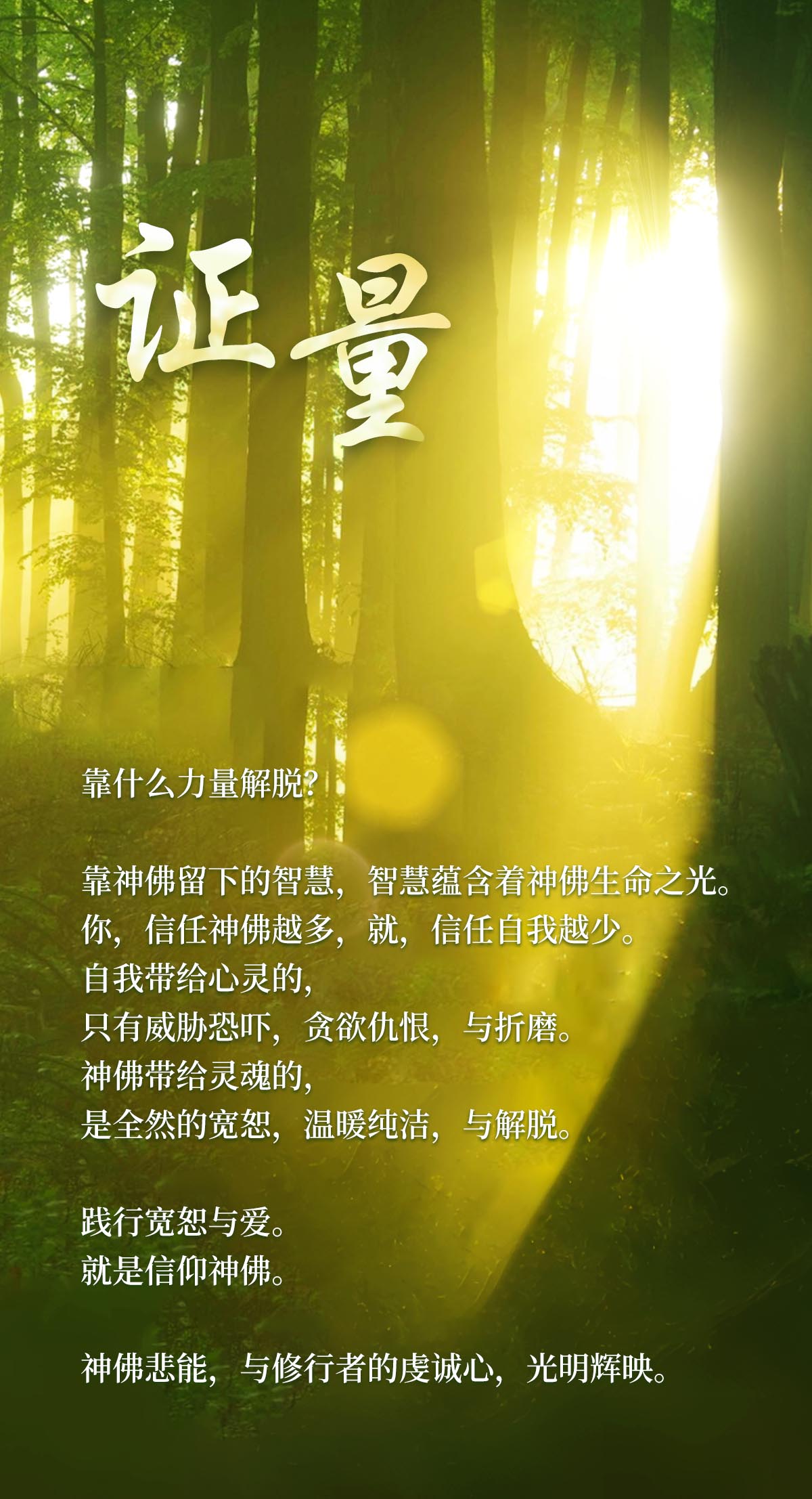 0309证量.jpg