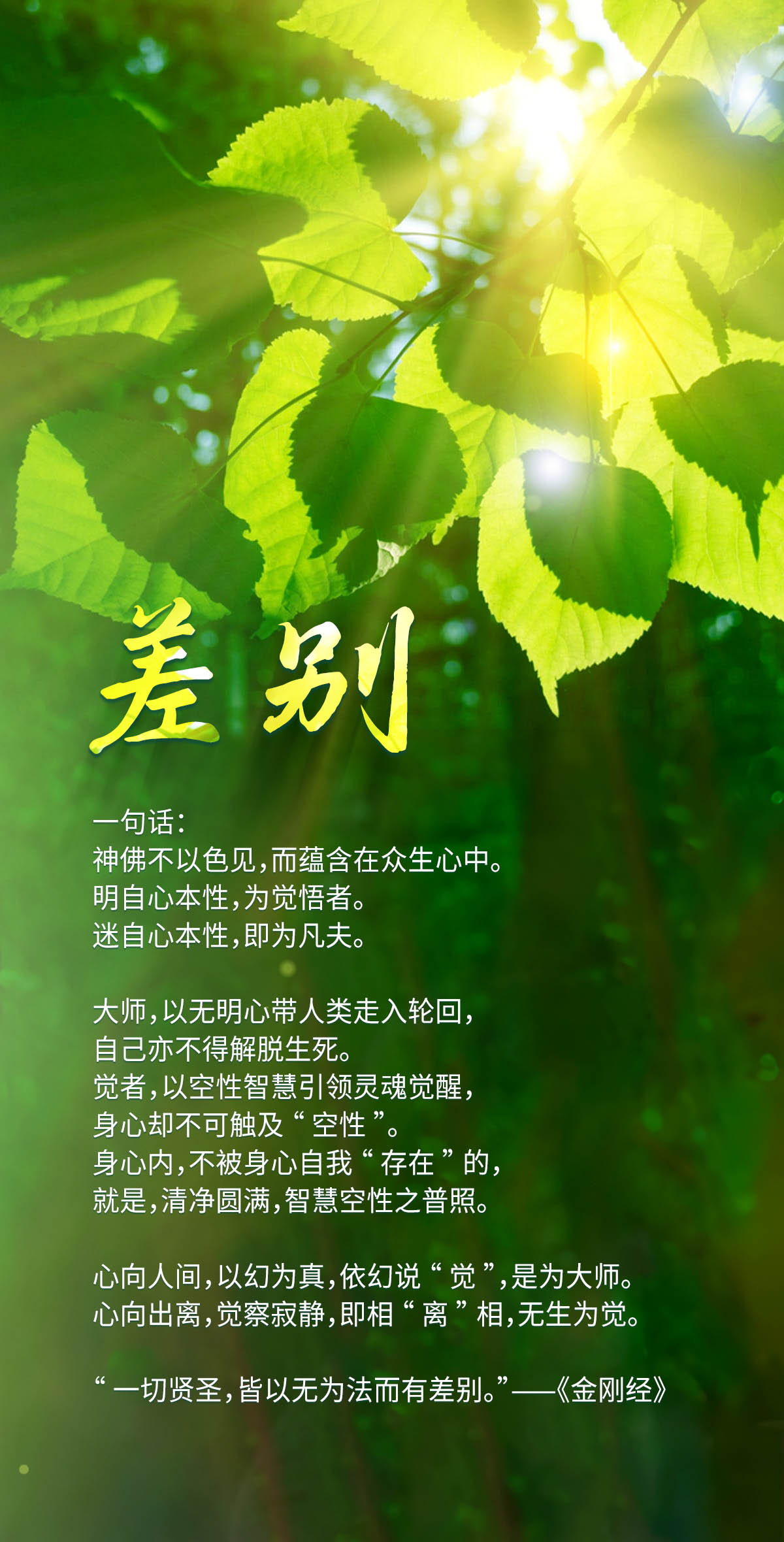 0326差别.jpg