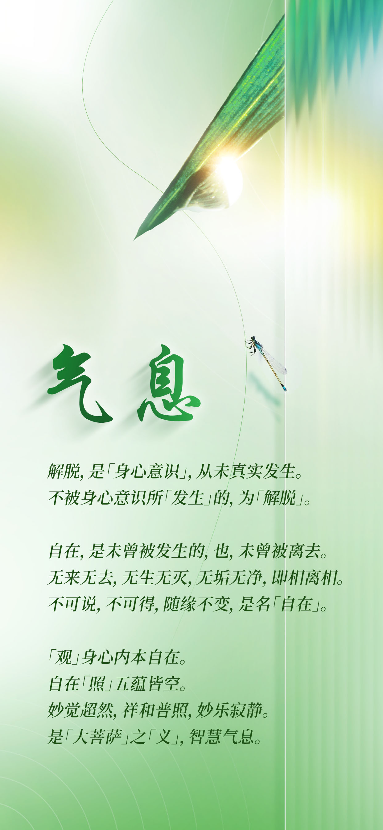 0505气息.jpg