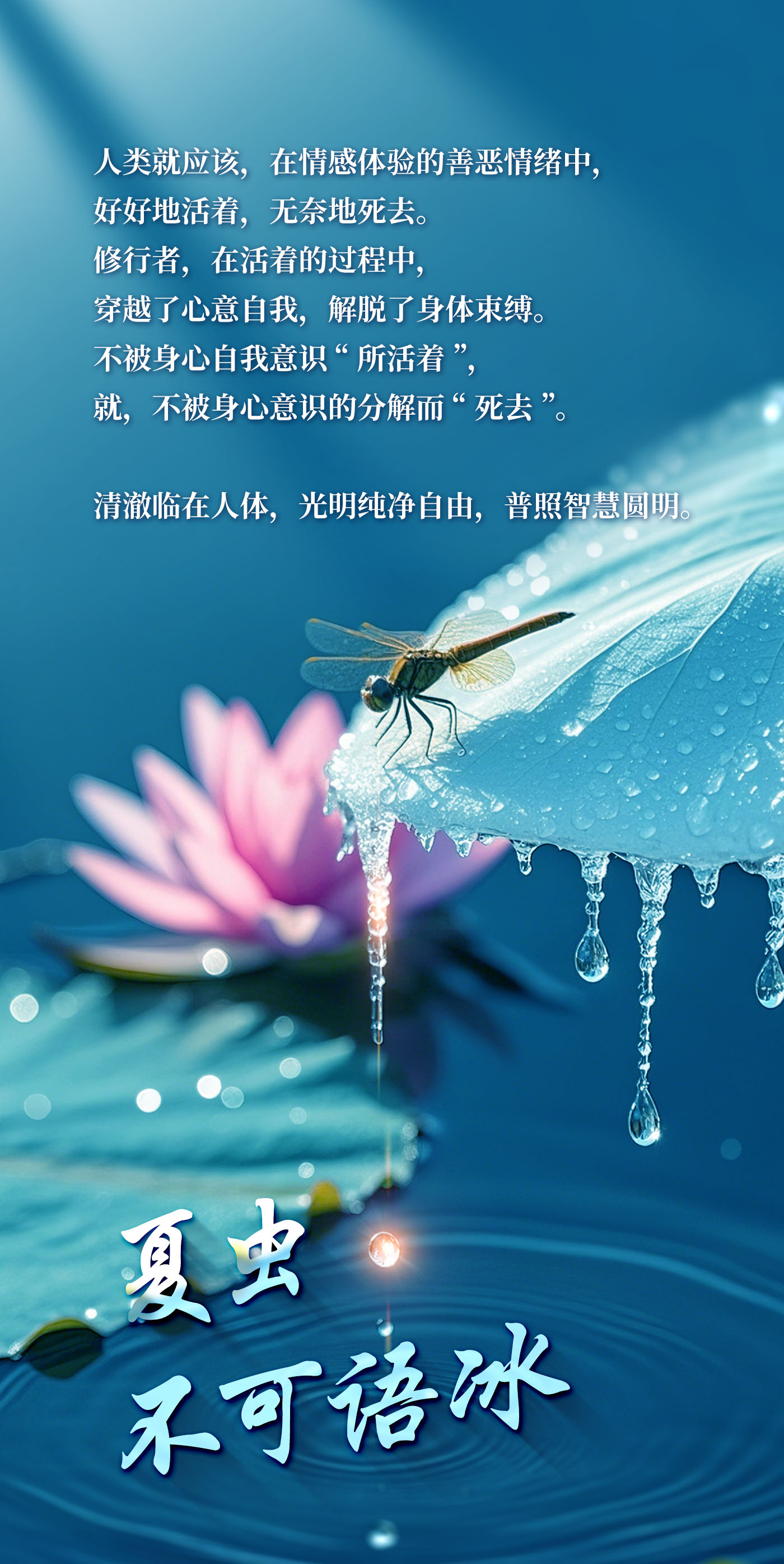 0913夏虫不可语冰2.jpg