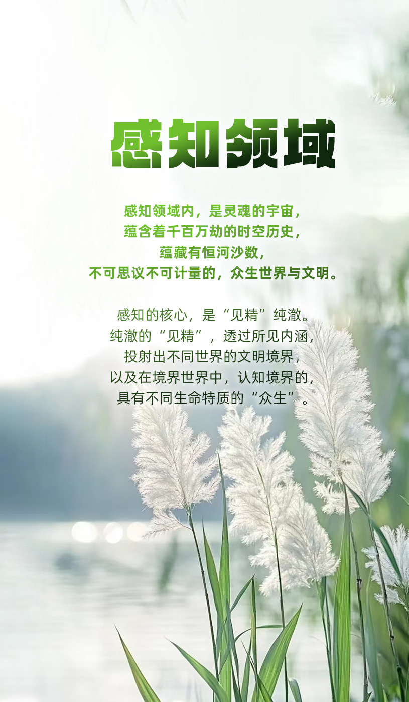 1111感知领域1.jpg