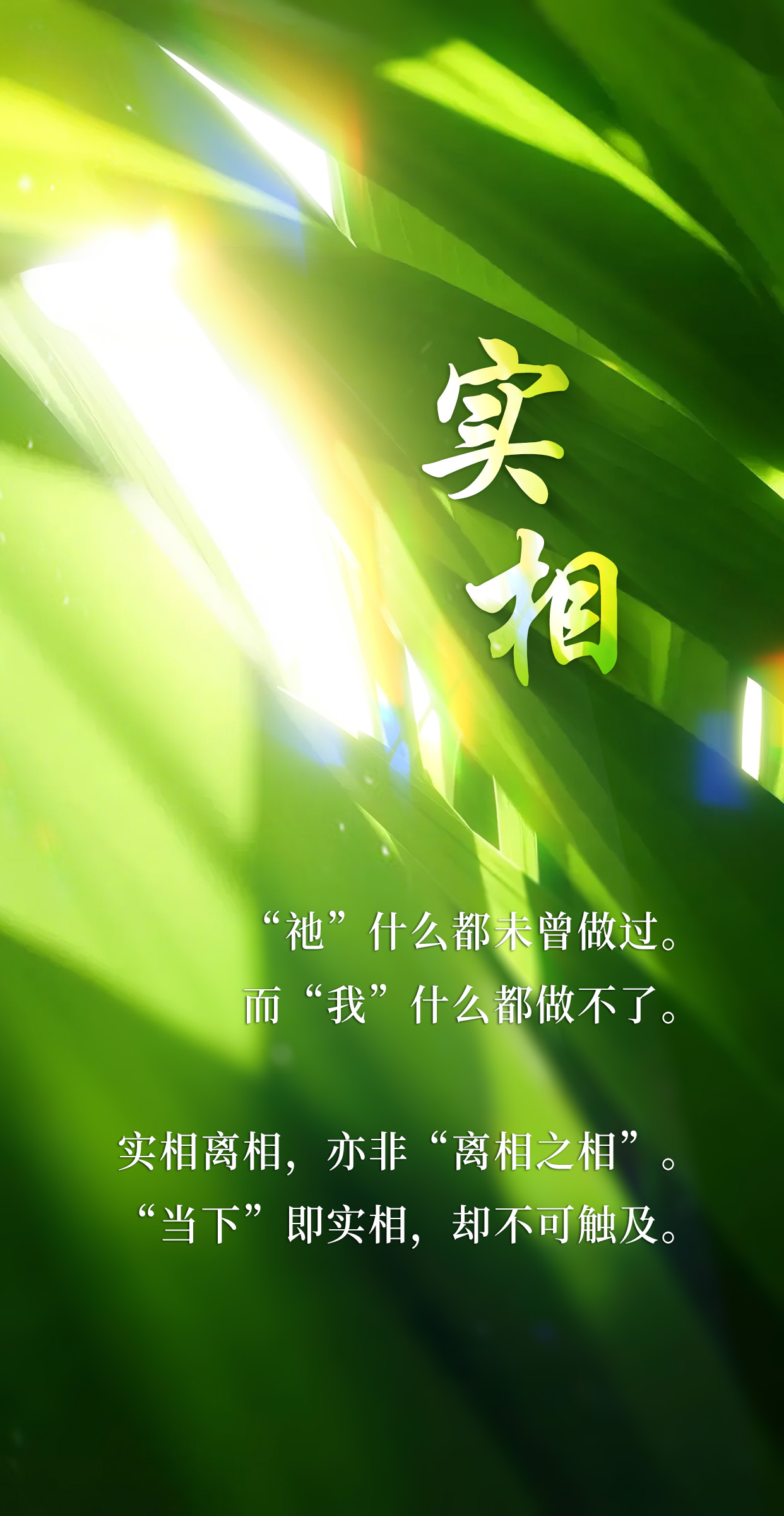 1112实相.jpg