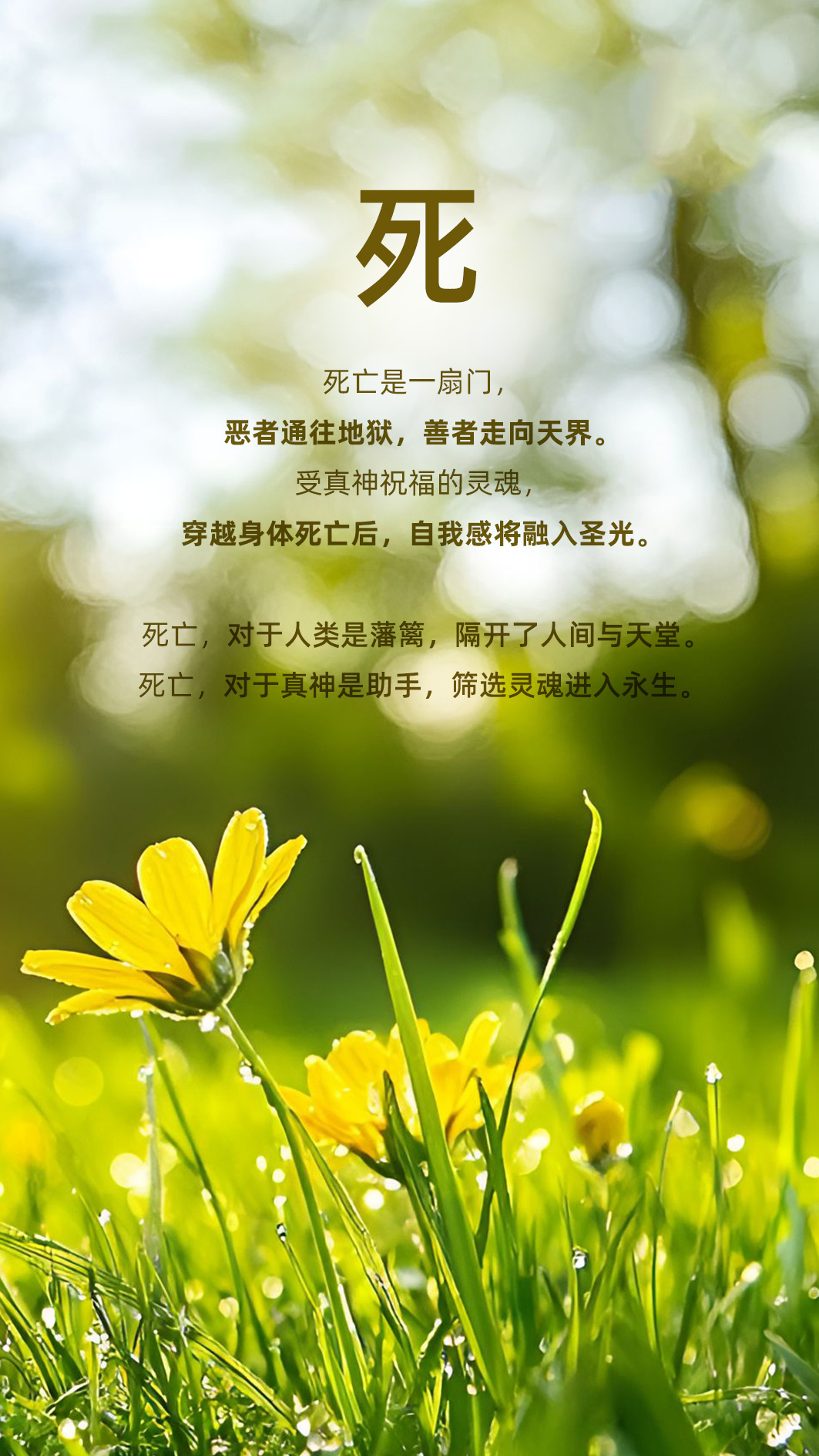 0101死.jpg