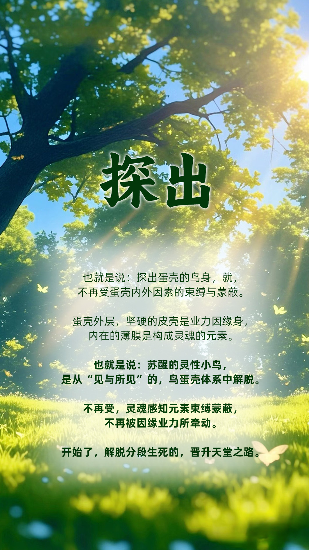 0529探出2.jpg