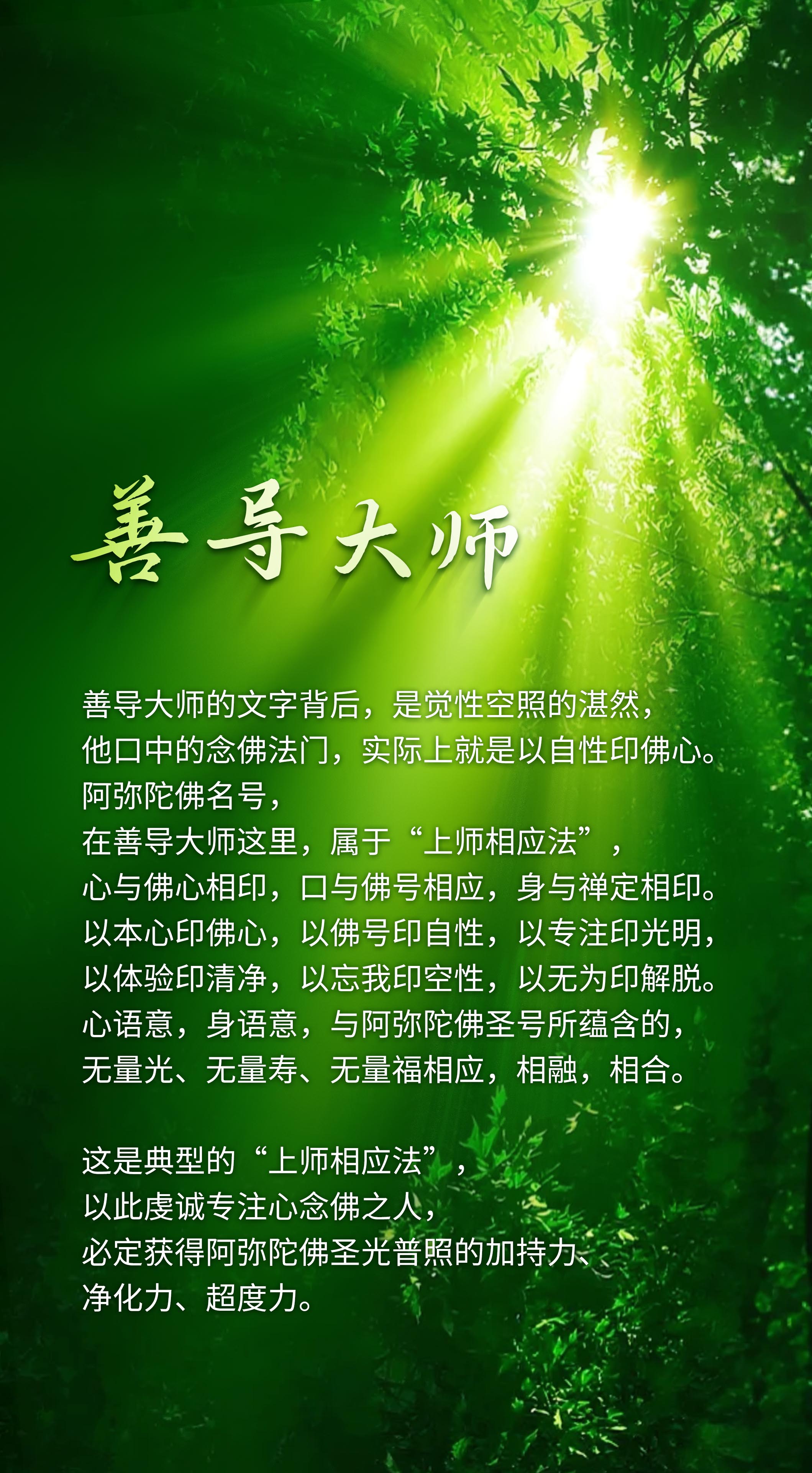 0930善导大师.jpg