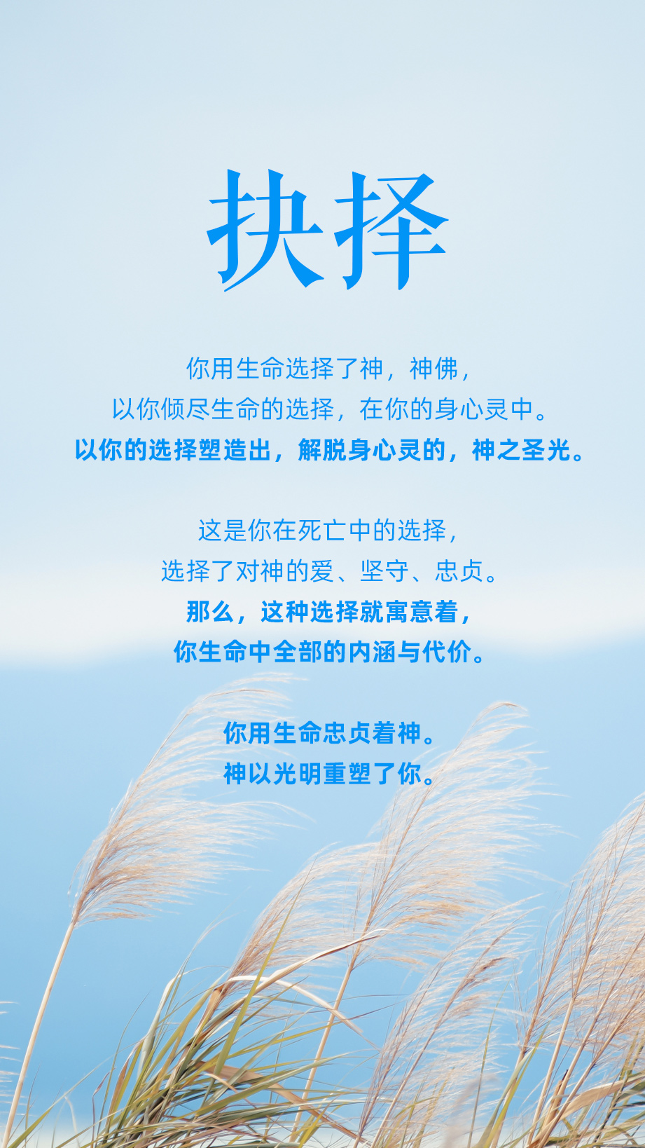 1125抉择.jpg