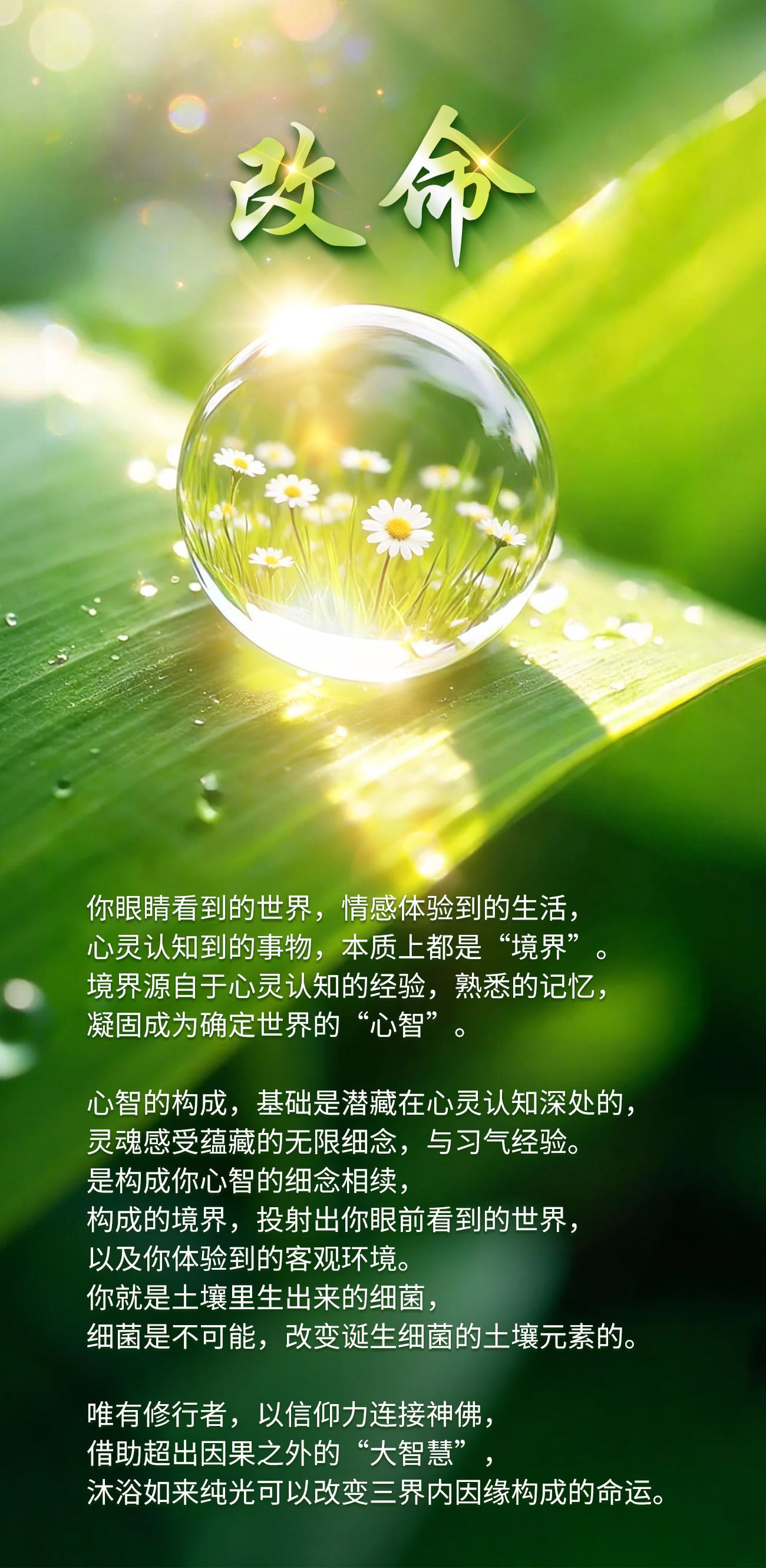 0327改命.jpg