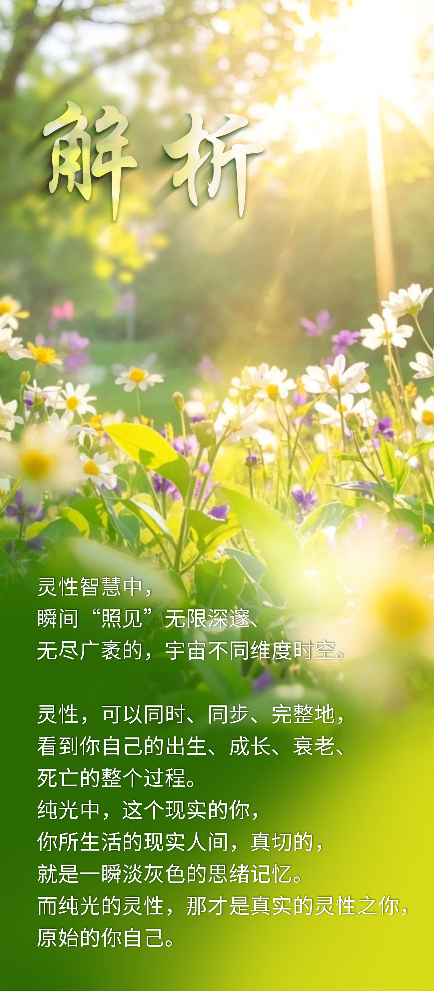 0511解析.jpg