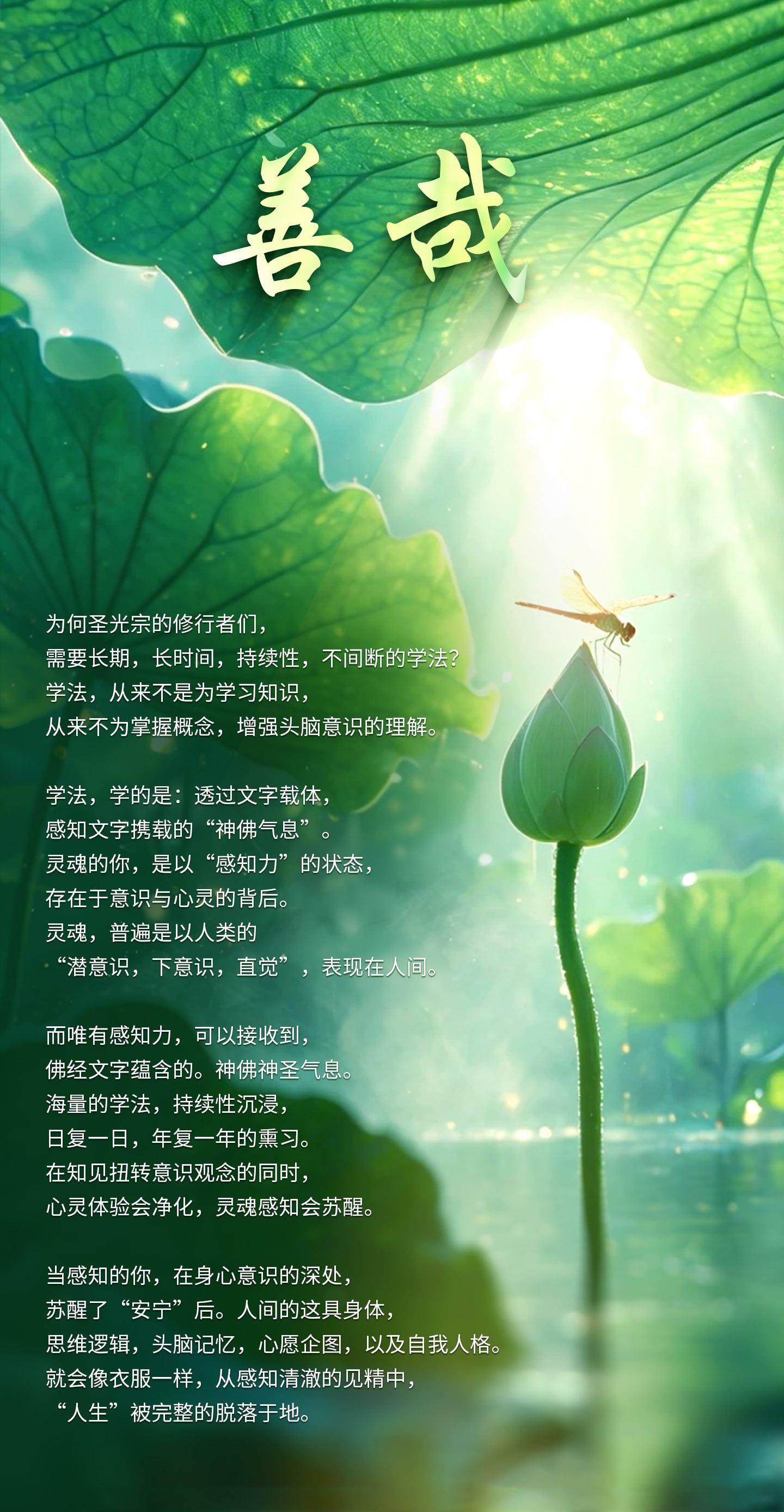 0707善哉.jpg