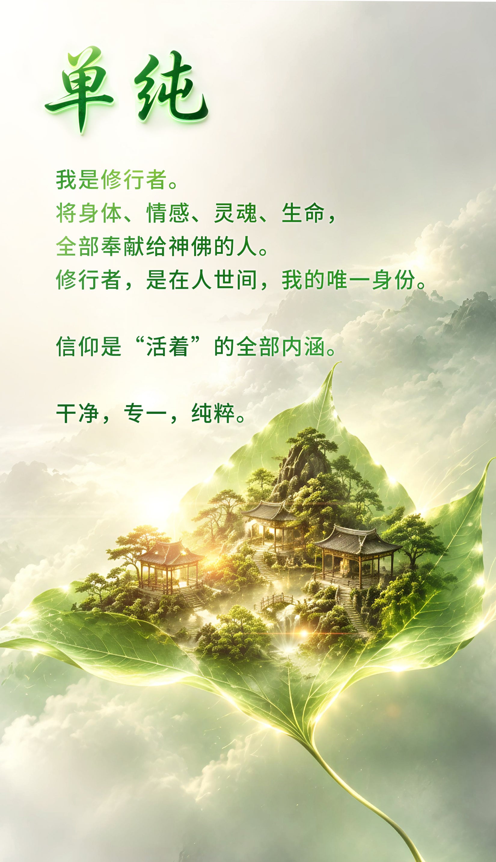 0823单纯.jpg