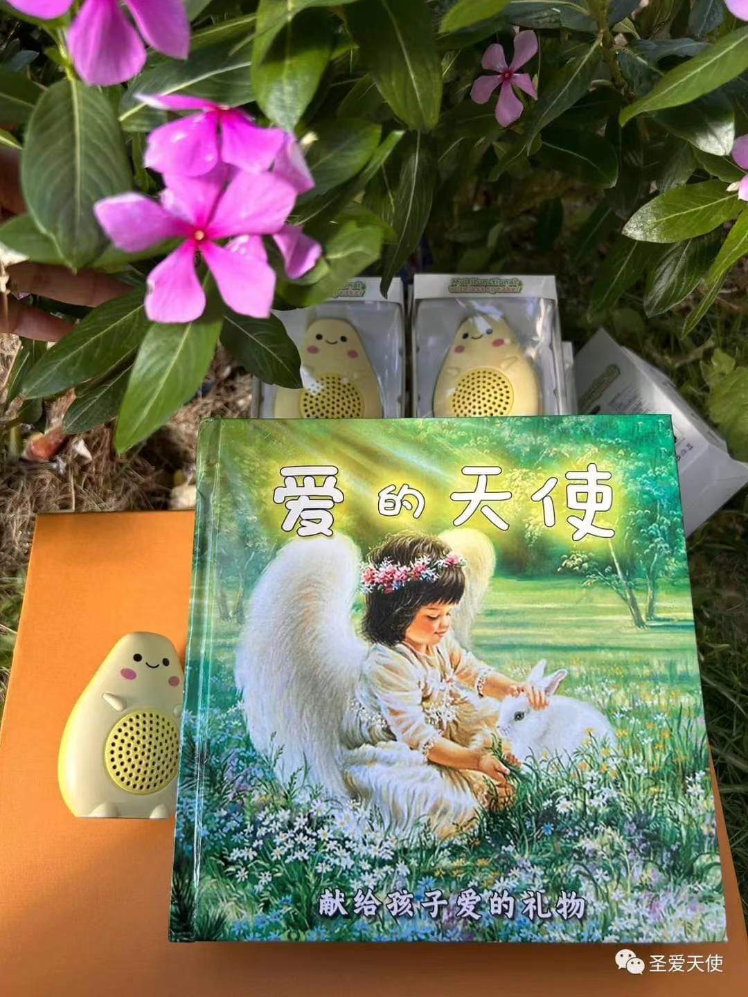 0710爱的天使4.jpg