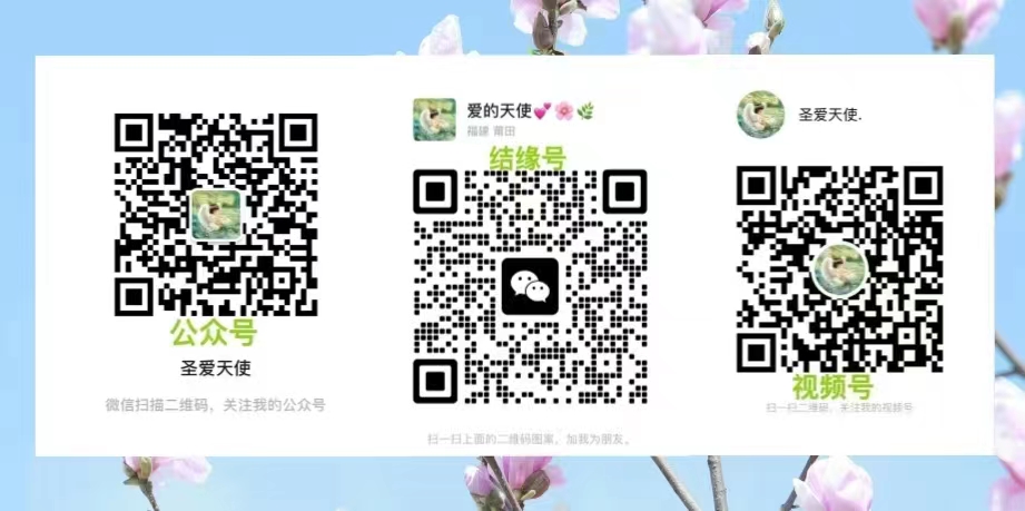 0710爱的天使5.jpg