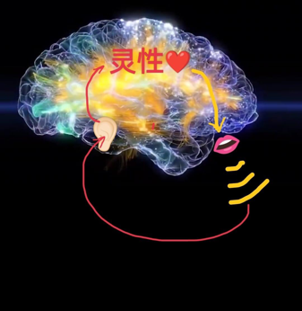 1014彻底放弃此生.png