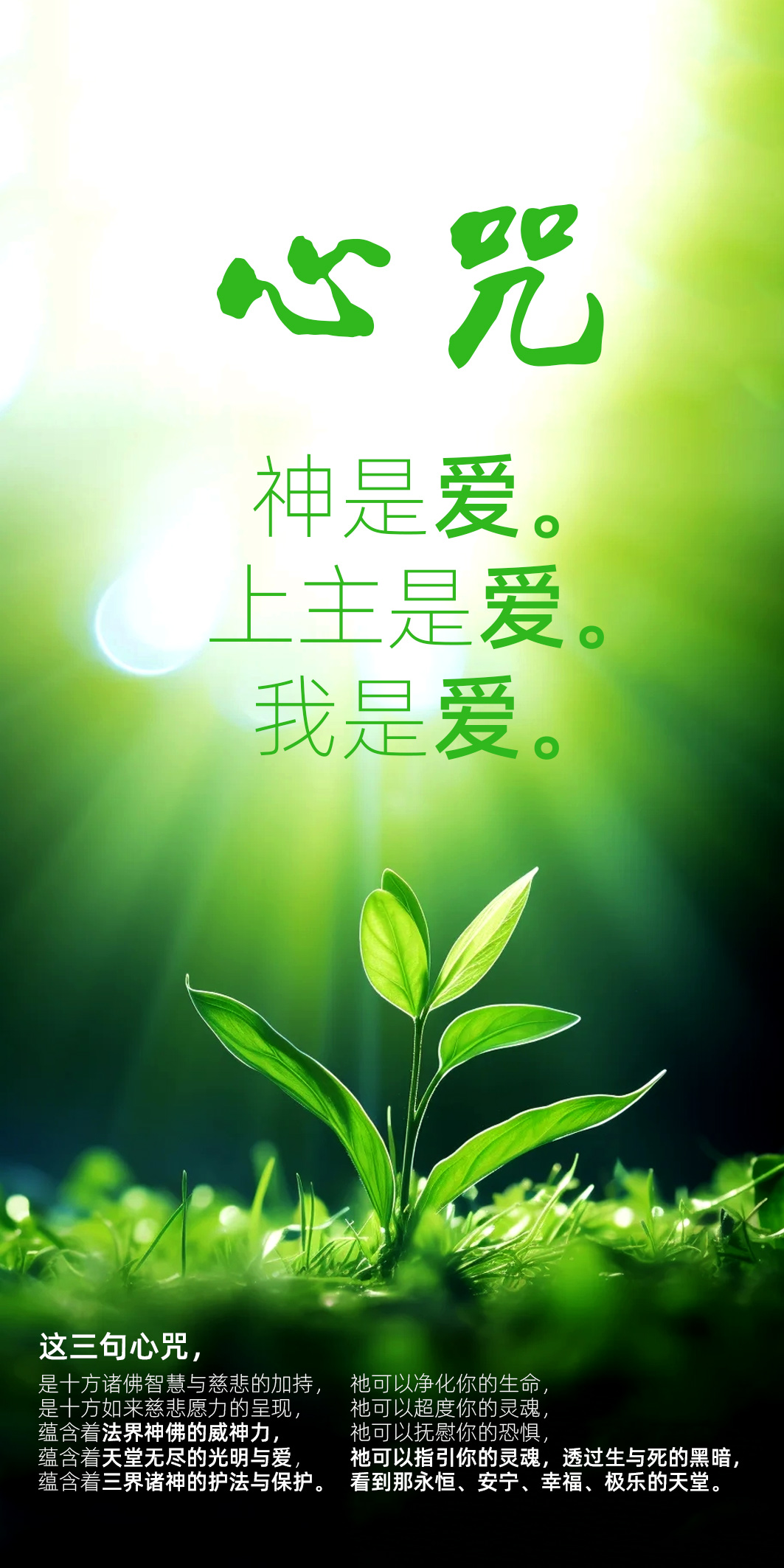 1018恩师心语—妙觉庄严.jpg