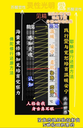 1026三界梦境的形成和如何解脱梦境2.png