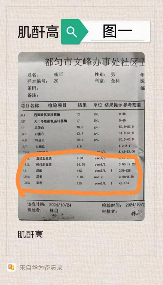 1205小小神迹1.jpg