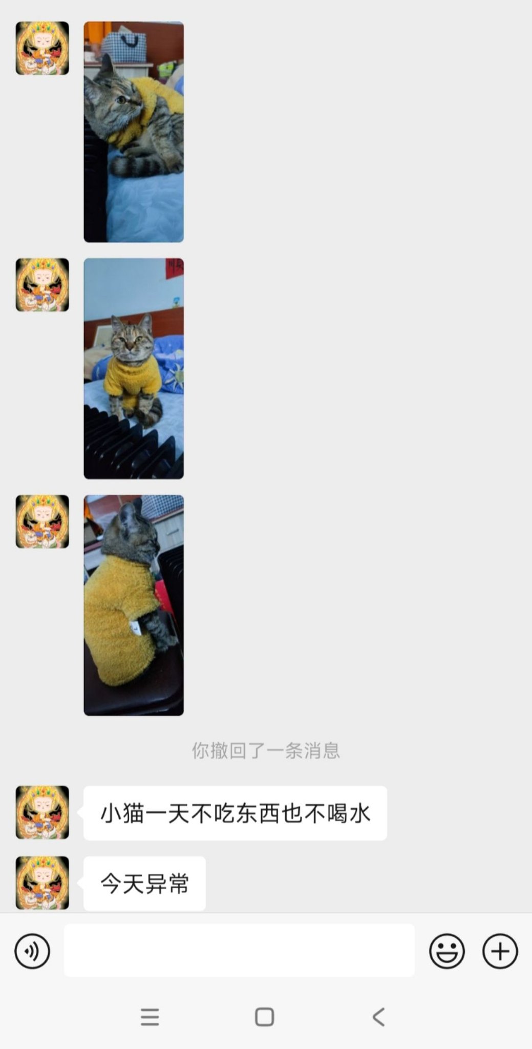 0402《引导文》救助地某寺出家师兄4.jpeg