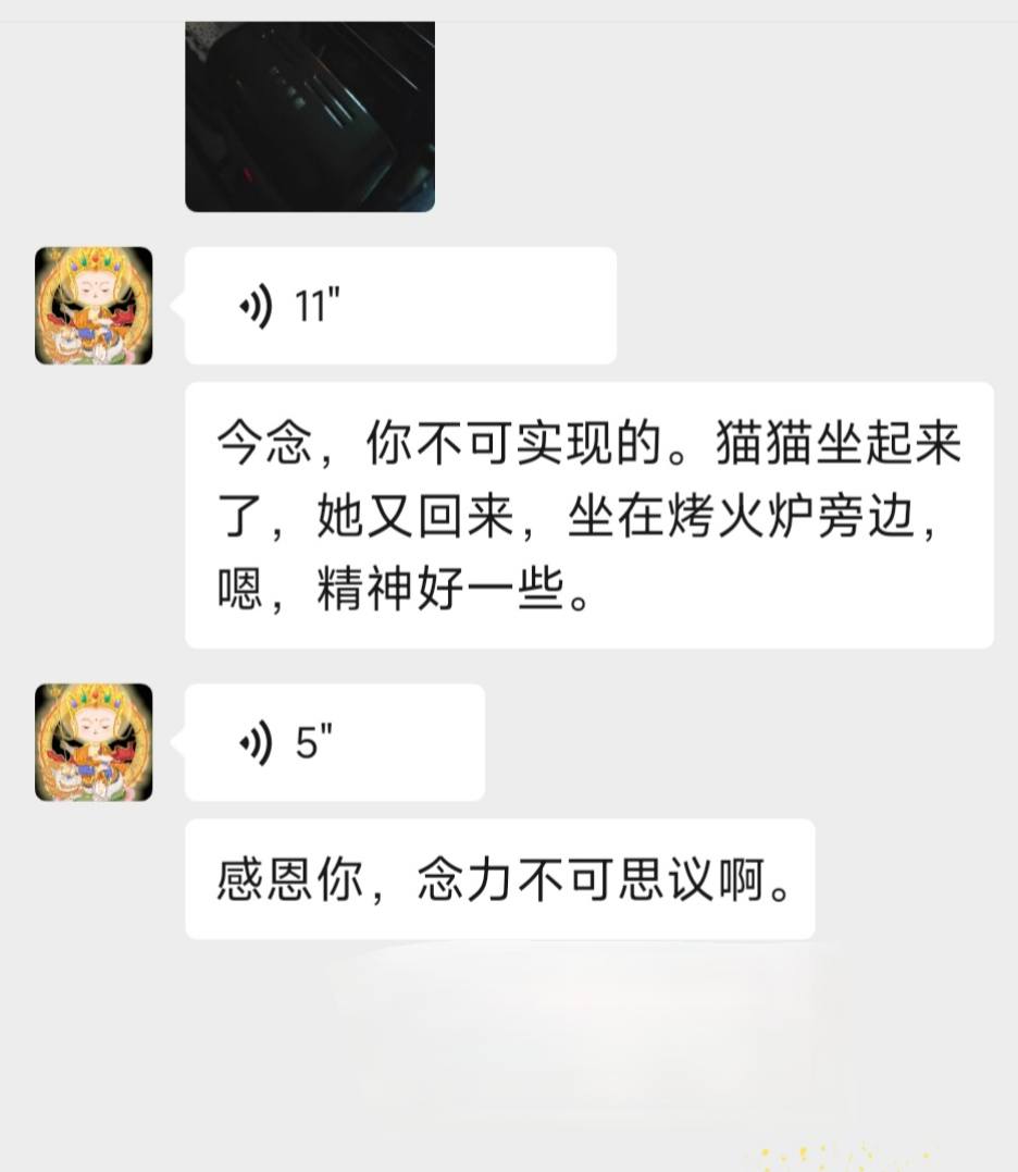 0402《引导文》救助地某寺出家师兄6.jpeg