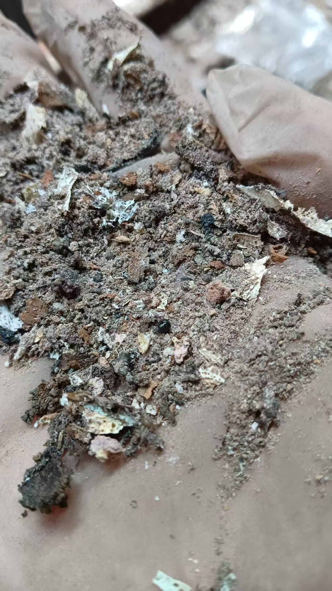 0402《引导文》救助地某寺出家师兄7.jpeg